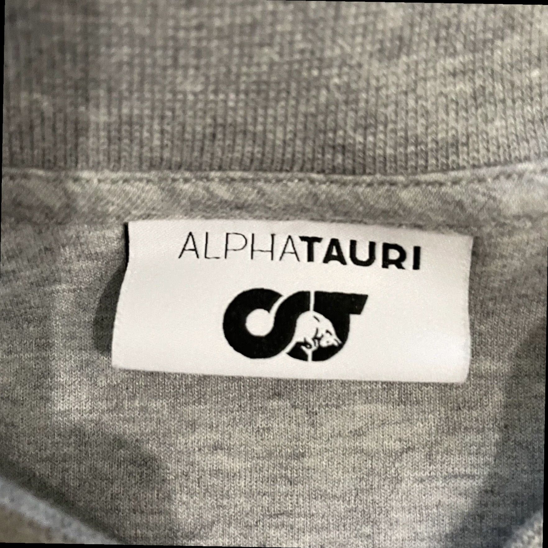 Vintage AlphaTauri Gray Cotton Blend Zip-Up Athletic Jacket Womens Large Size L / US 10 / IT 46 - 4 Thumbnail