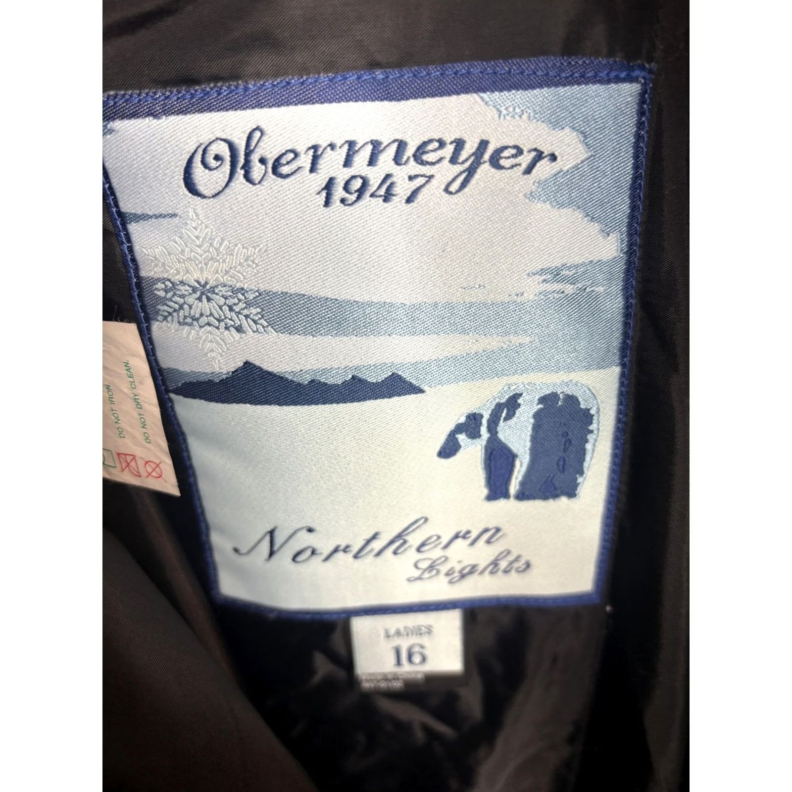 Obermeyer Obermeyer Northern Lights Insulated Snow Ski Winter Outdoor Pants Womens 16 Size 38" / US 16 / IT 52 - 6 Thumbnail