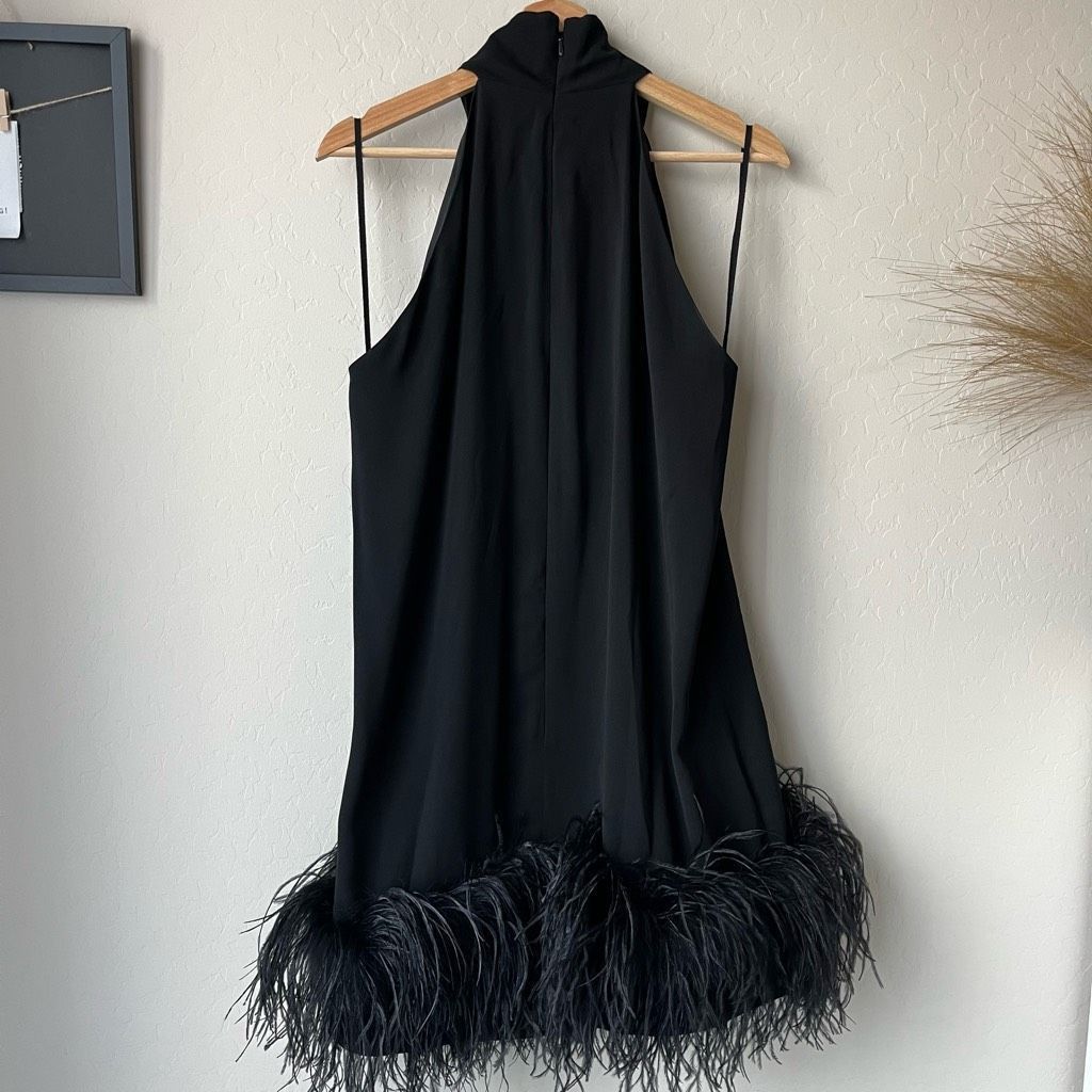 16Arlington 16Arlington Dress Feather Trim Black Cynthia Mini Dress Size Size L / US 10 / IT 46 - 7 Thumbnail