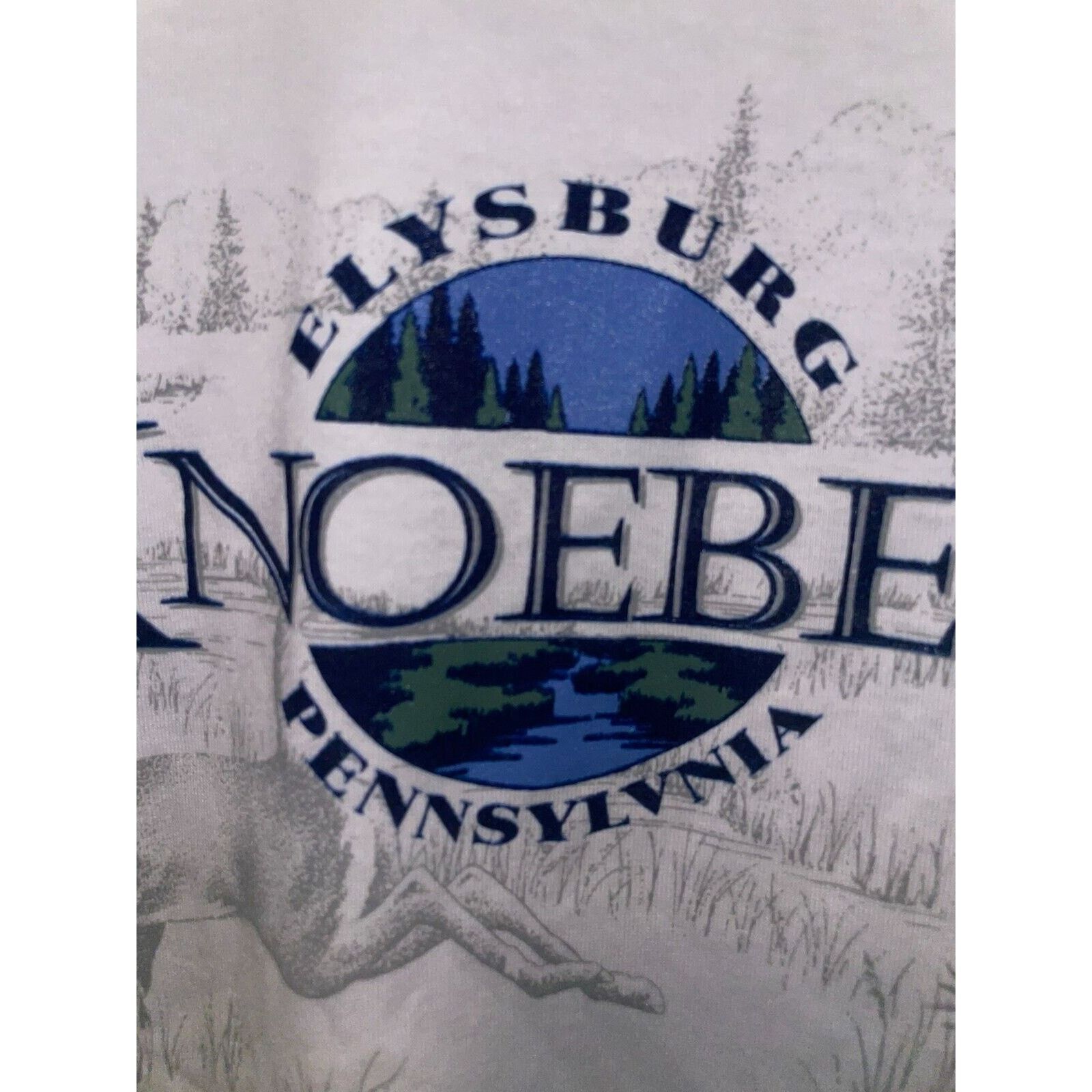 Jerzees 90s Vintage Elysburg PA Pennsylvania Knoebels Shirt VTG L Size US L / EU 52-54 / 3 - 5 Thumbnail