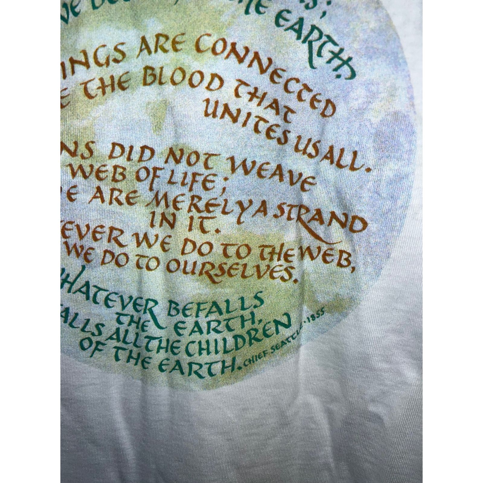 Hanes Vintage Chief Seattle Shirt The Earth Does Not Belong Tee L Size US L / EU 52-54 / 3 - 5 Thumbnail