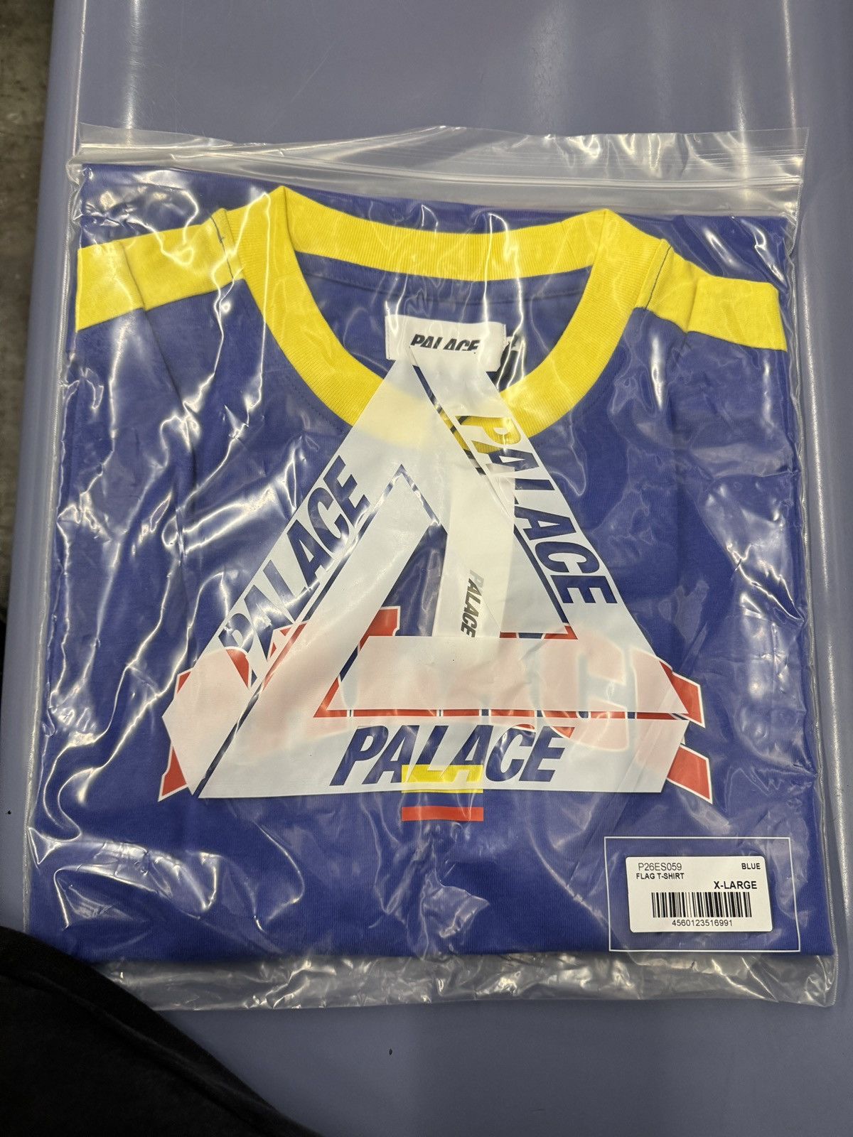 image of (In Hand) Palace Flag T-Shirt Size X-Large in Blue, Men's