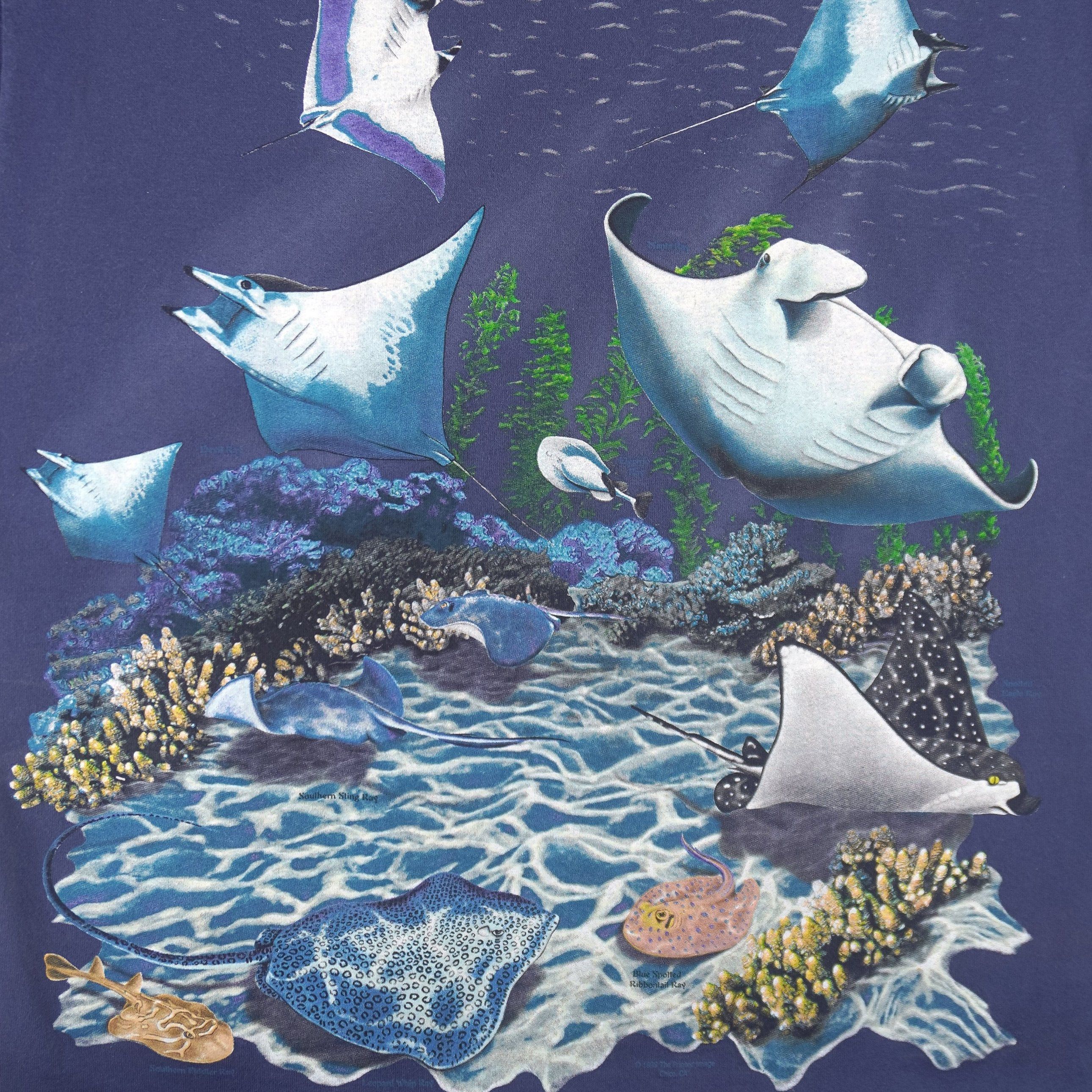 Fruit Of The Loom Vintage - SeaWorld Animal Print T-Shirt 1999 Size US L / EU 52-54 / 3 - 3 Thumbnail