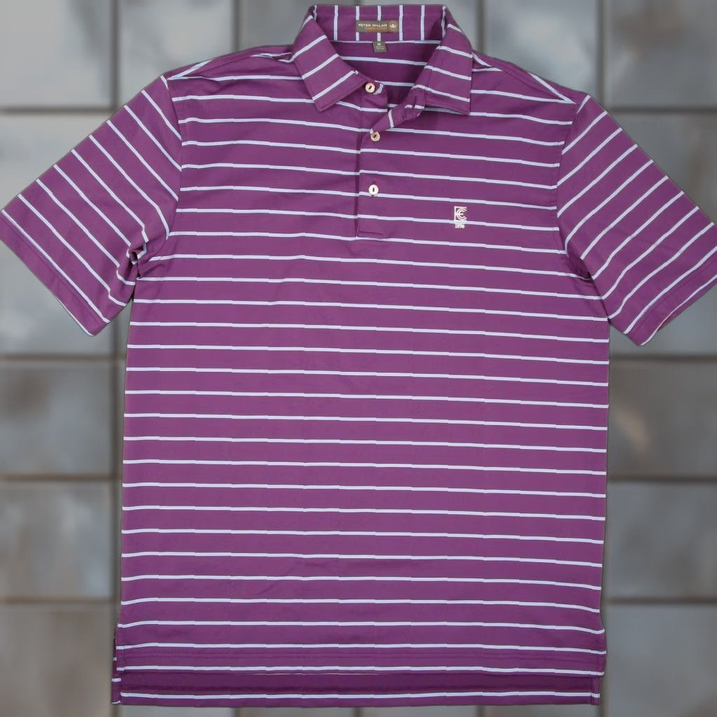 Peter Millar Peter Millar Summer Comfort Polo Shirt Mens M Purple Striped Exmoor CC Golf Size US M / EU 48-50 / 2 - 1 Thumbnail