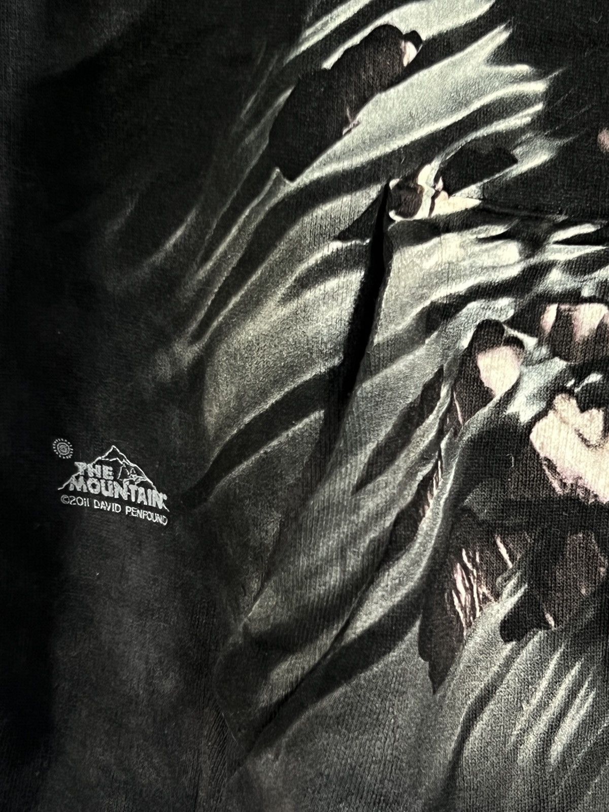 The Mountain THE MOUNTAIN HOODIE 2011 SKULL BREAKTHROUGH BRANDNEW Size US M / EU 48-50 / 2 - 3 Thumbnail
