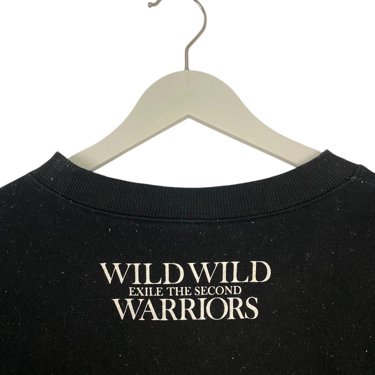 Other Vintage Exile The Second Wild Wild Warriors Tour Sweatshirt Size US M / EU 48-50 / 2 - 5 Thumbnail