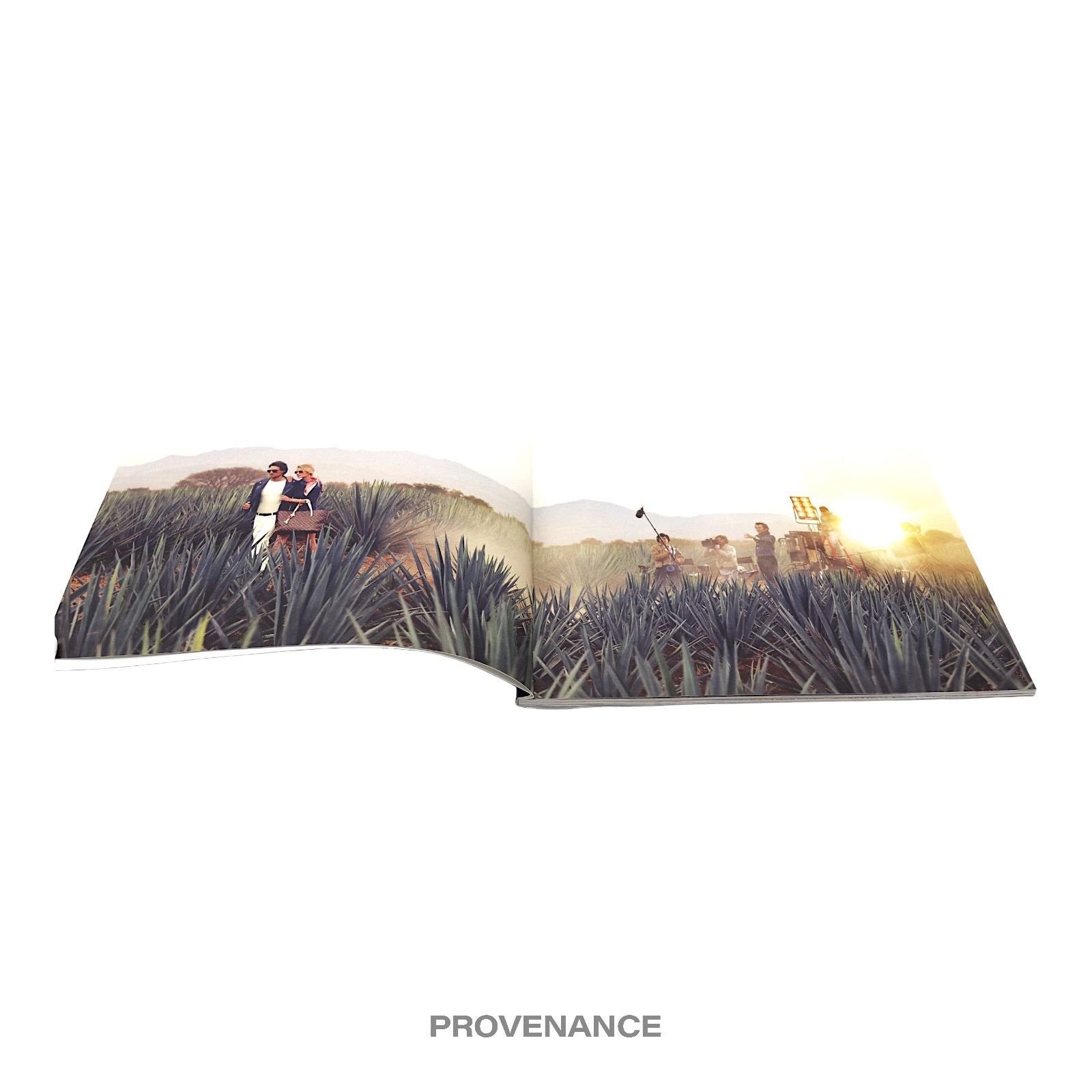 Louis Vuitton 🔴 Louis Vuitton "Lame Du Voyage" Travel Look Book Size ONE SIZE - 9 Thumbnail