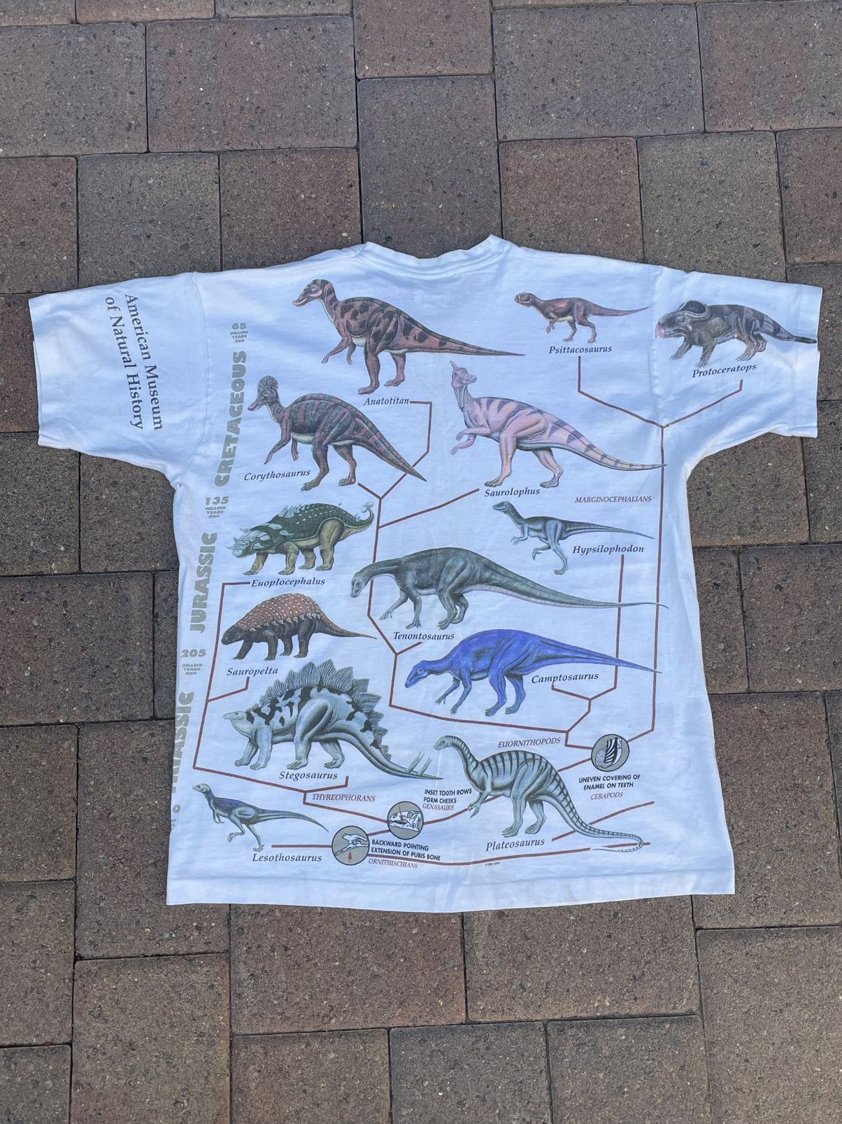 Other Vtg 90s American Museum of Natural History Dinosaur T-Shirt Size US L / EU 52-54 / 3 - 3 Thumbnail
