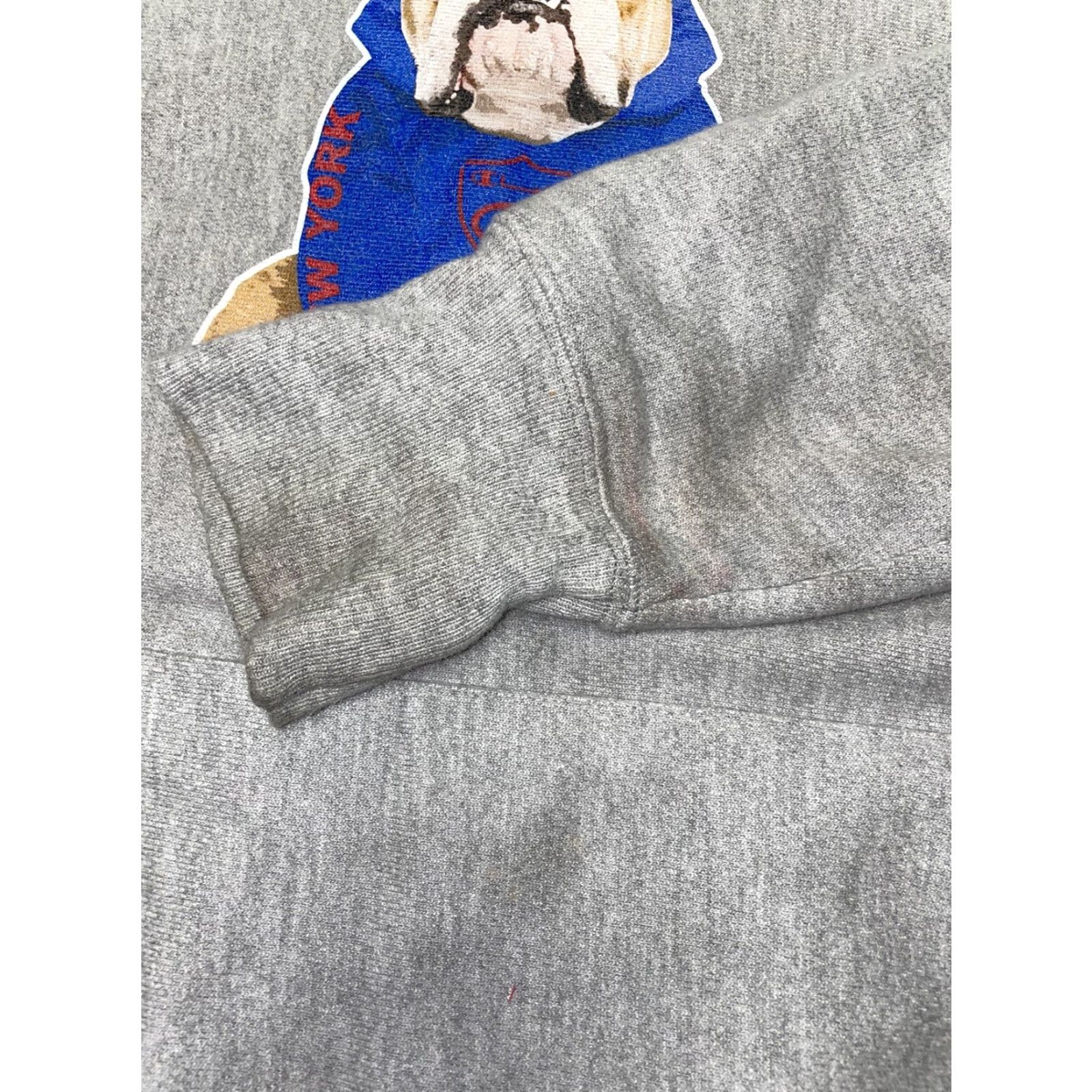 Champion VINTAGE Champion Reverse Weave Hoodie Men M Gray Reversible Y2K Size US M / EU 48-50 / 2 - 5 Thumbnail