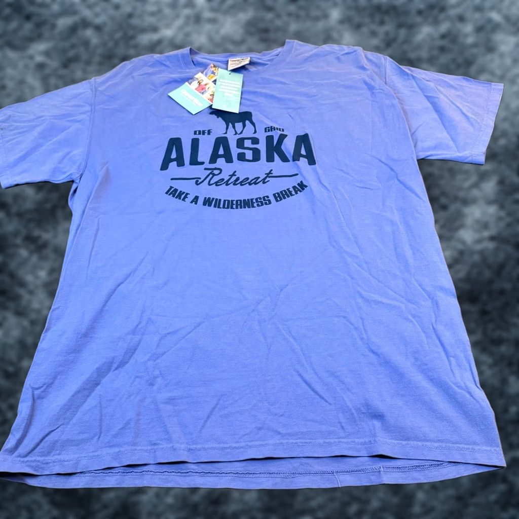 Hanes Hanes ComfortWash Graphic T-Shirt Blue Mens Large Ring Spun Crew Neck Short Sleeve Size US L / EU 52-54 / 3 - 1 Thumbnail