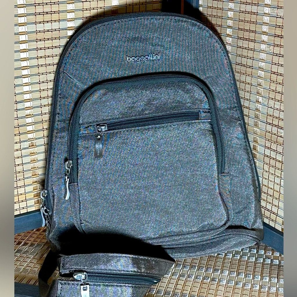 Other NWT- Baggallini Back to Basics Backpack -Steel Mini Backpack Size ONE SIZE - 1 Thumbnail