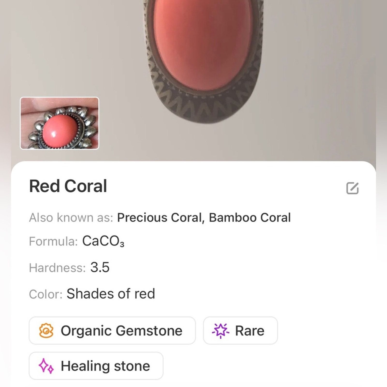 Handmade Handcrafted southwest style red coral howlite stone necklac Size ONE SIZE - 10 Thumbnail