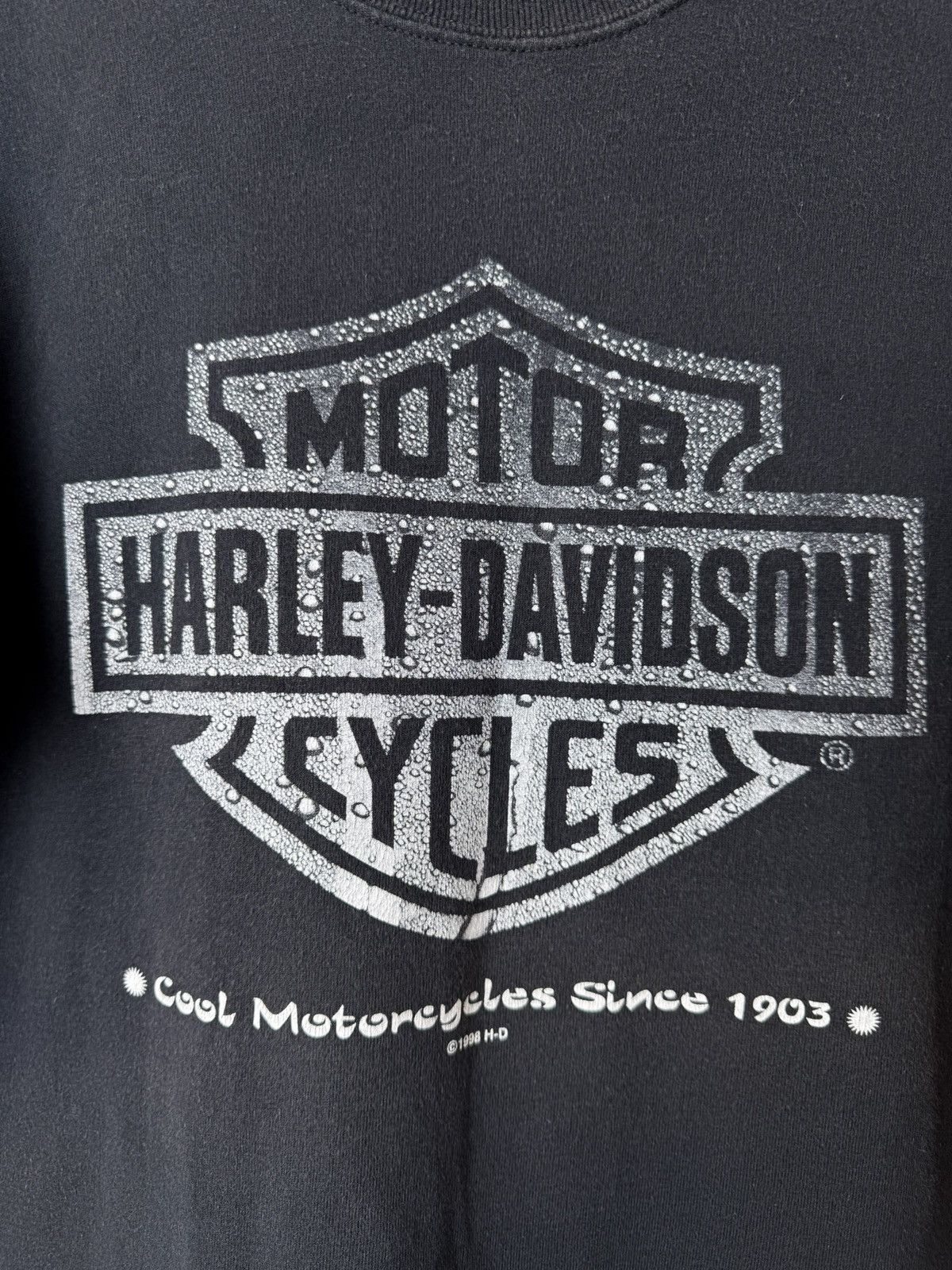 Harley Davidson Rare! Vintage 1998 Harley Davidson T Shirt Triumph Size US L / EU 52-54 / 3 - 2 Thumbnail