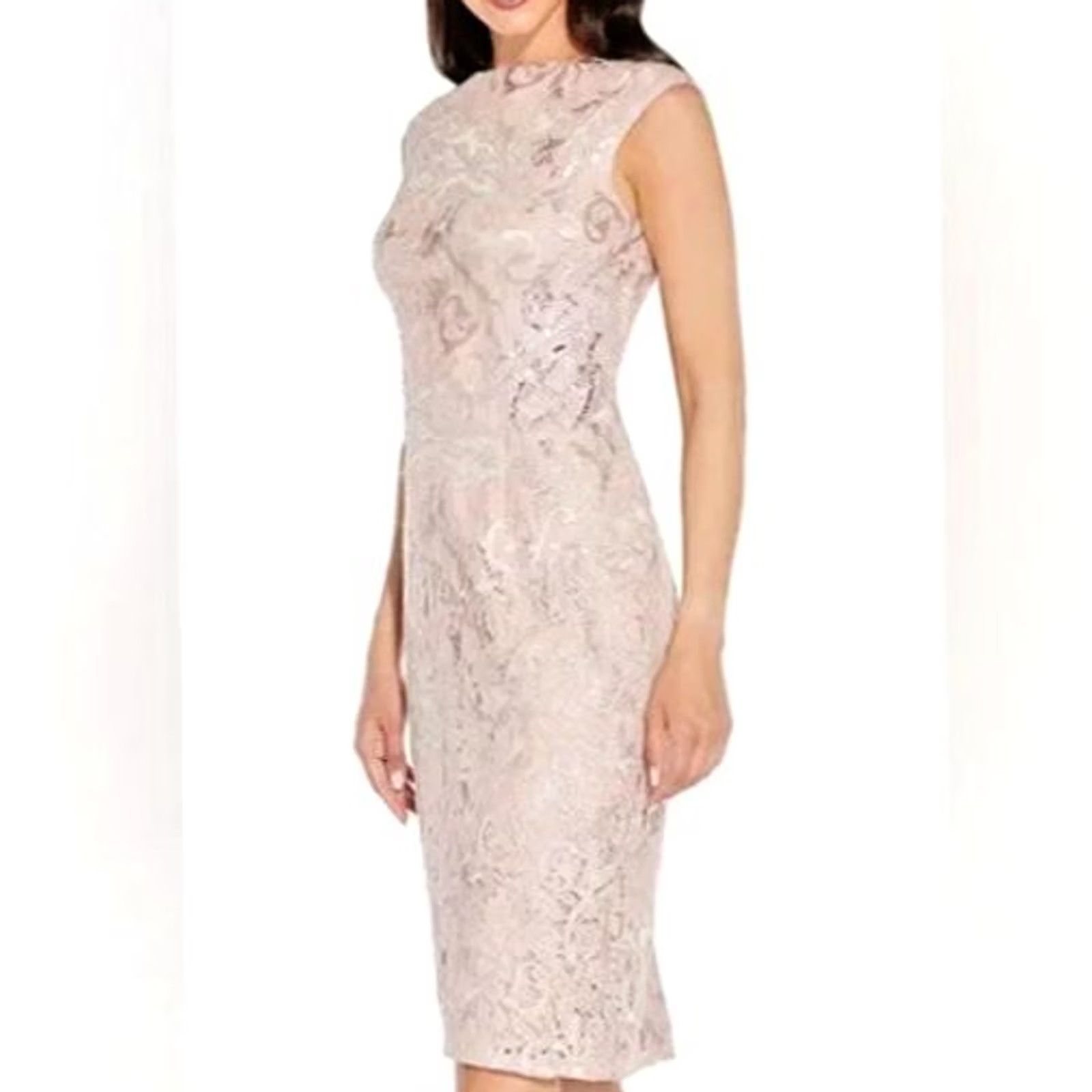 Adrianna Papell Adrianna Papel Womens Dress 6 UK Embroidered Lace Knee Dusty Rose Size M / US 6-8 / IT 42-44 - 2 Thumbnail