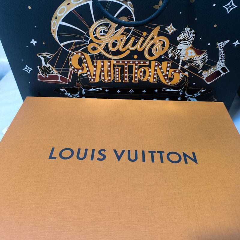 Louis Vuitton Louis Vuitton Trainer Sneakers for Men and Women -2508 Size US 7.5 / EU 40-41 - 6 Thumbnail
