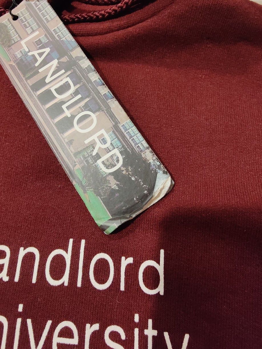 LANDLORD Landlord University of New York (LUNY) Hoodie Size US M / EU 48-50 / 2 - 5 Thumbnail