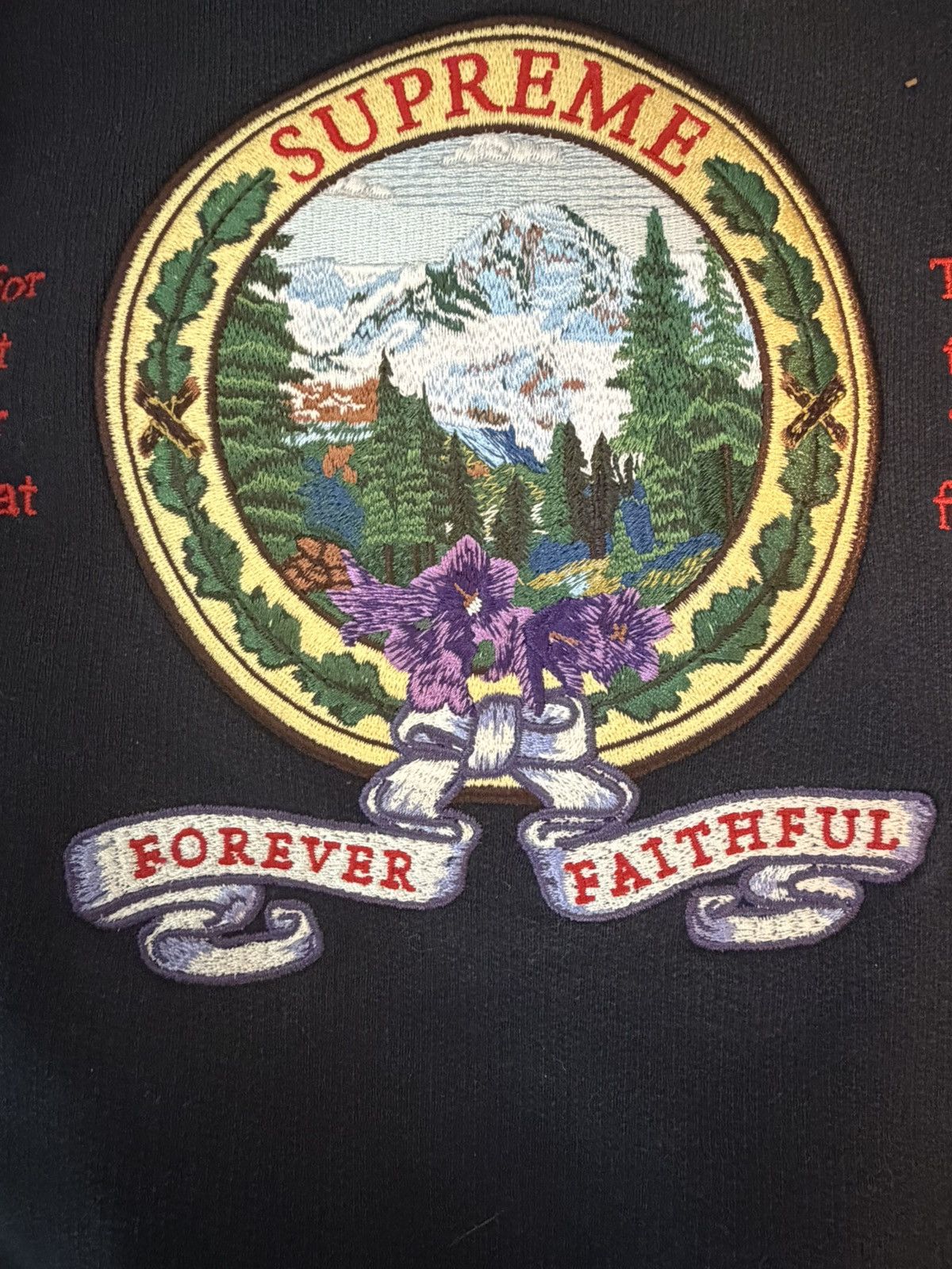 Supreme Supreme Hoodie Size US L / EU 52-54 / 3 - 5 Thumbnail