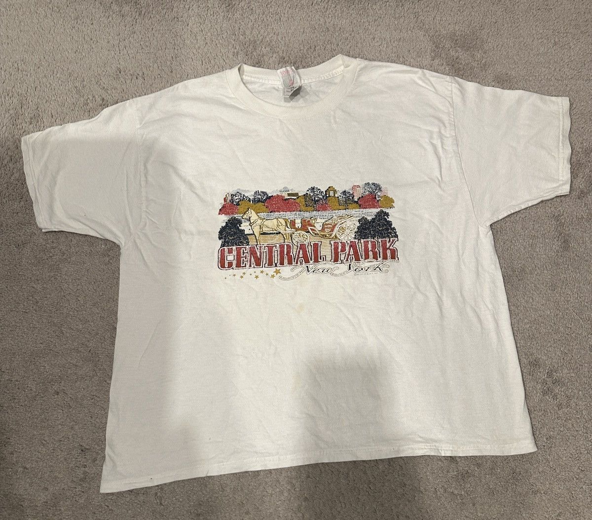 Fruit Of The Loom New York Central Park Tourist Tee Men L Vintage Size US L / EU 52-54 / 3 - 1 Thumbnail