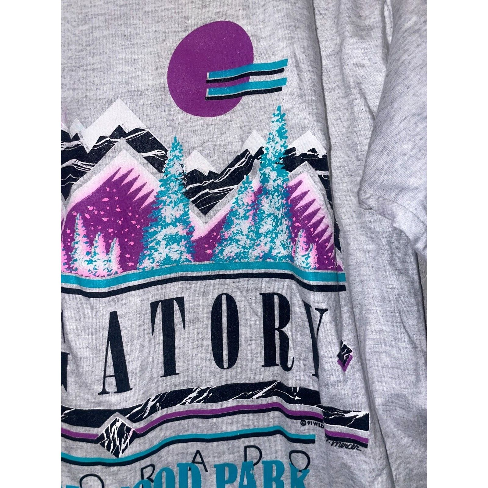 Signal Sport Vintage Purgatory Shirt Baywood Park CO Test Print Ski 90s L Size US L / EU 52-54 / 3 - 4 Thumbnail