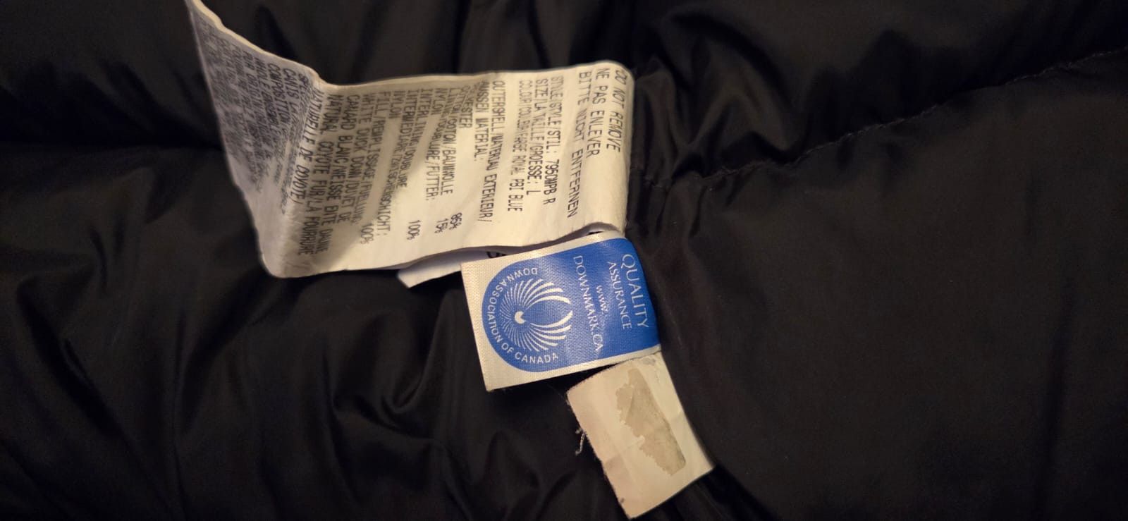 Canada Goose Vintage Canada Goose Blue PBI Chiliwak Bomber Jacket Size US L / EU 52-54 / 3 - 4 Thumbnail