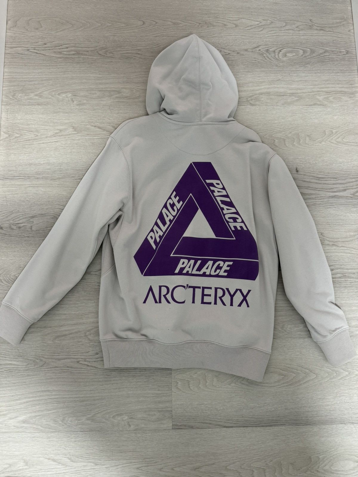 Arc'teryx × Palace Palace x Arcteryx Hoodie | Grailed