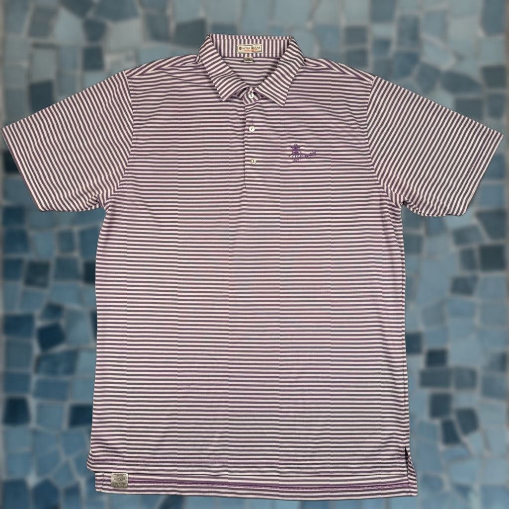 Peter Millar Peter Millar Summer Comfort Polo Mens XL Short Sleeve Striped Preppy Casual Golf Size US XL / EU 56 / 4 - 1 Thumbnail