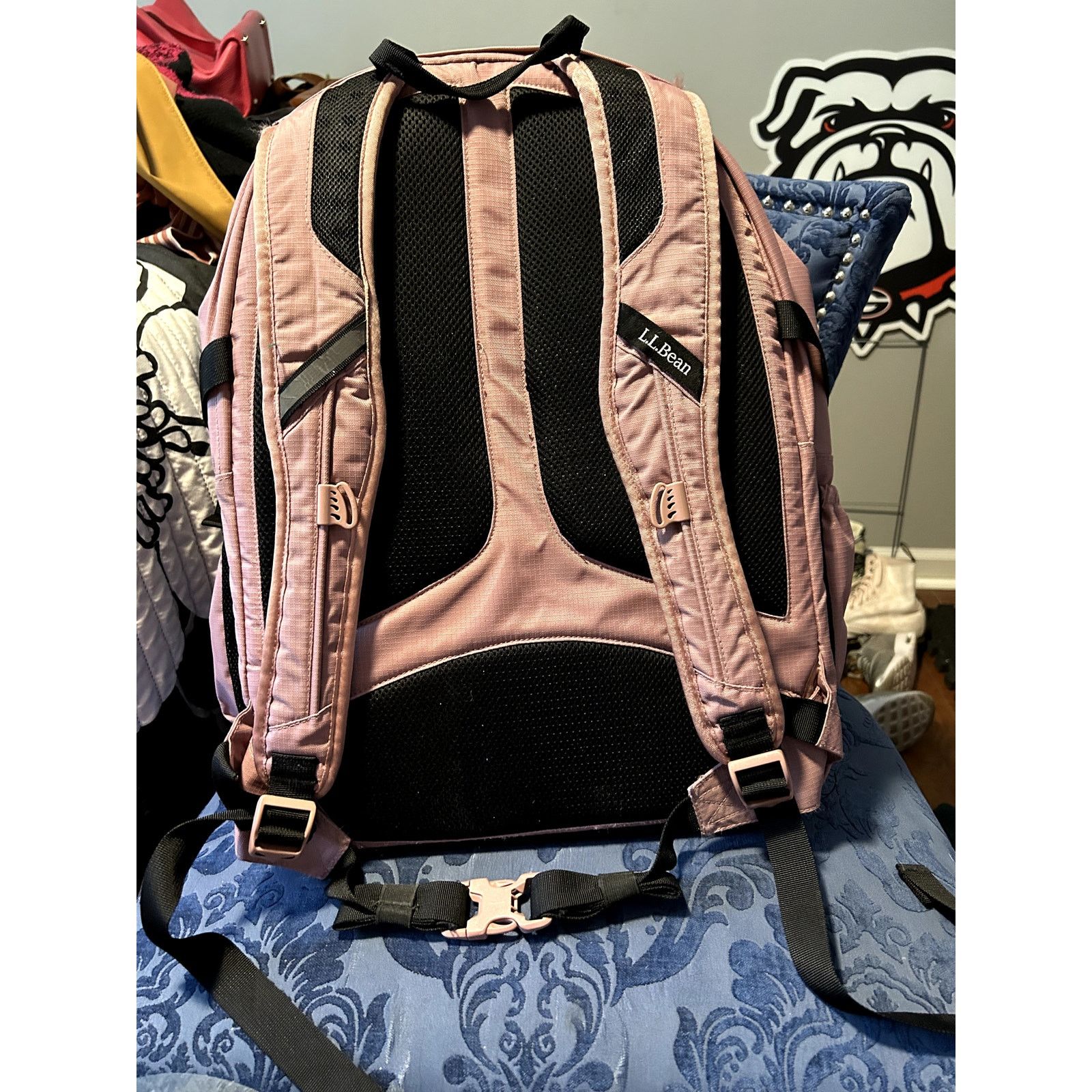 L.L. Bean LL Bean Pink Hiking Day Trekking Backpack Size ONE SIZE - 3 Thumbnail
