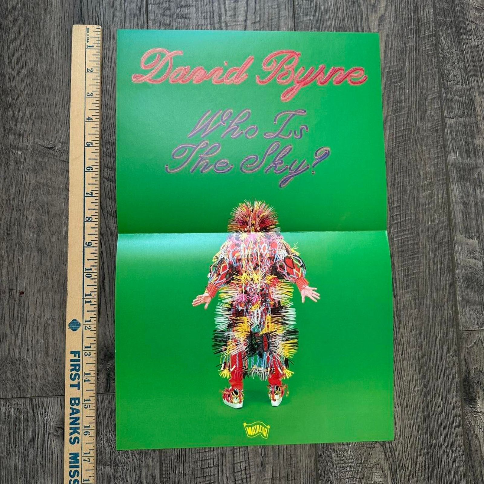 Other David Byrne Who Is The Sky Talking Heads Music Promo Poster Size ONE SIZE - 5 Thumbnail