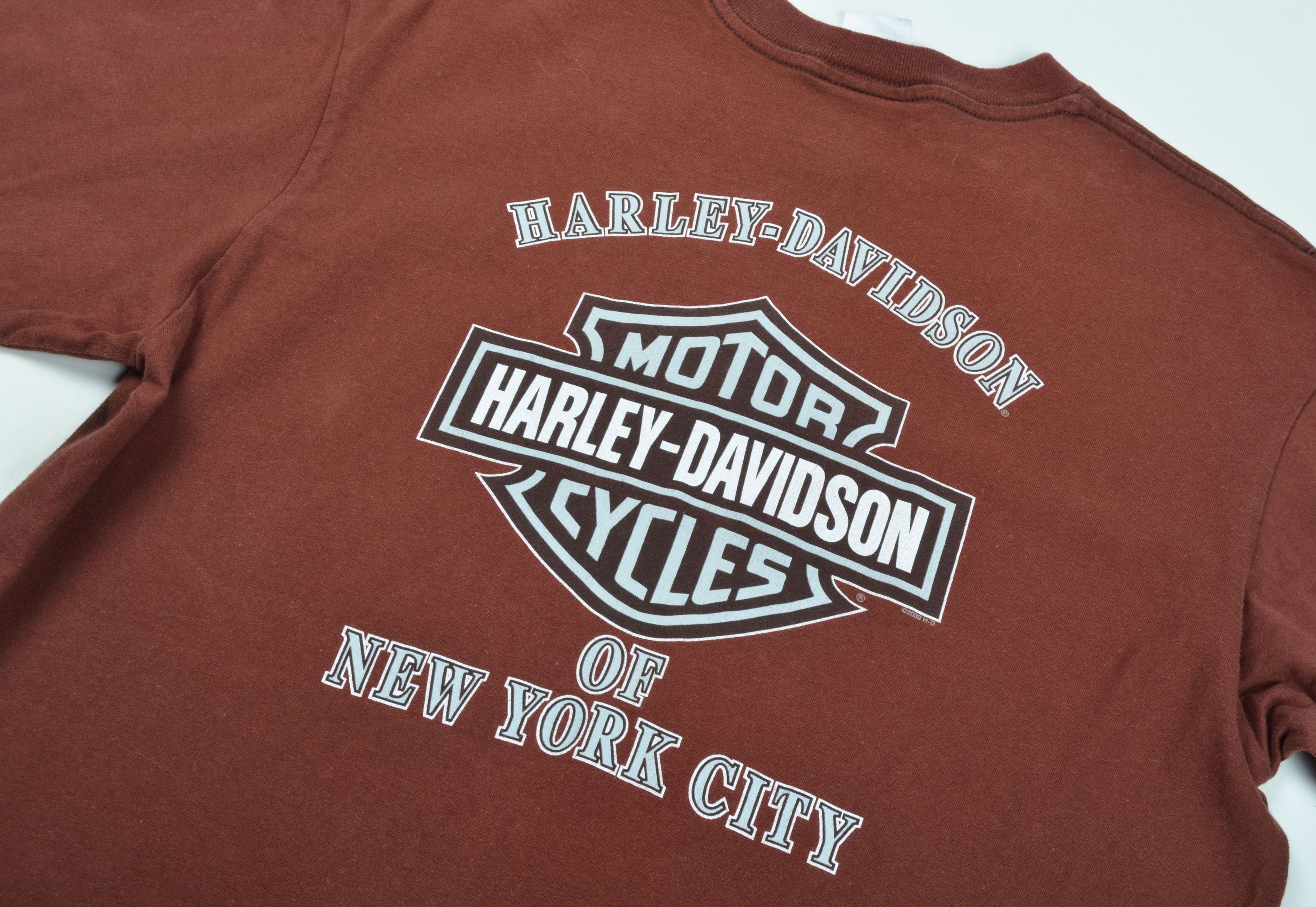 Harley Davidson Harley Davidson Y2K Grunge Biker Big Eagle 2009 Tee Size US L / EU 52-54 / 3 - 8 Thumbnail