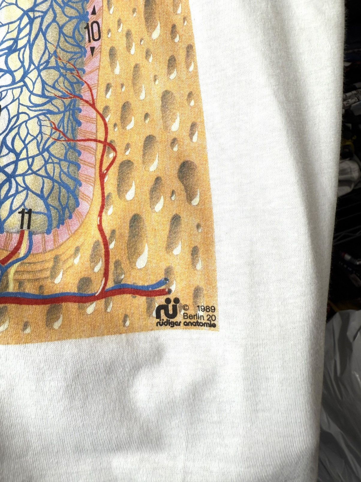 Vintage Berlin 1989 Vintage Tooth Diagram Medicine T Shirt Size US XL / EU 56 / 4 - 4 Thumbnail