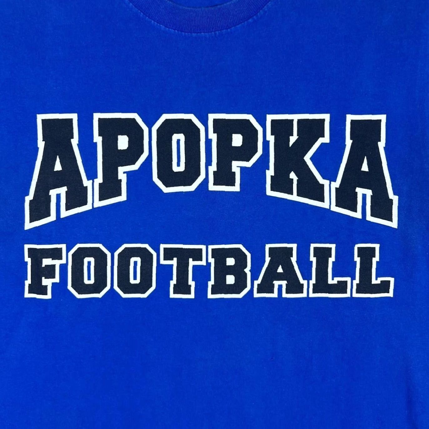 Fruit Of The Loom APOPKA FOOTBALL "State Champs" College Sports Graphic Blue T-Shirt Small Mens Shirt Small Blue Graphic print to front and back 90s style? Size US S / EU 44-46 / 1 - 3 Thumbnail