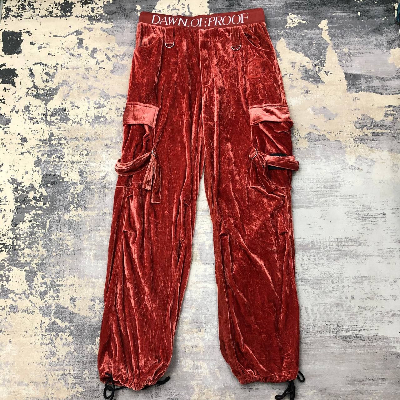 Other P590 LOS ANGELES TERRITORY VELVET CARGO SWEATPANTS Size US 34 / EU 50 - 1 Thumbnail