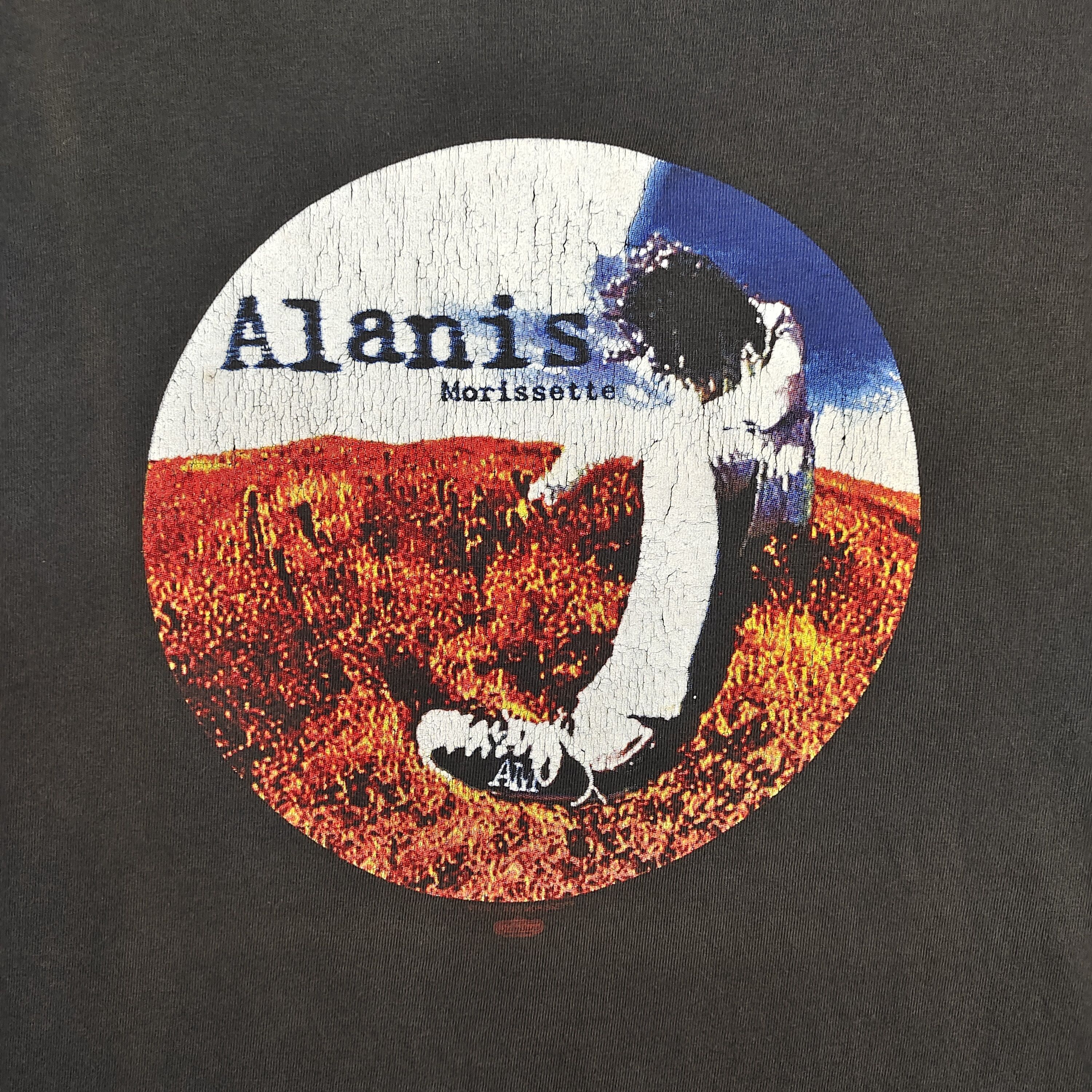 Band Tees VINTAGE 90's Alanis Morissette “flower field” tour T-shirtXL Size US XL / EU 56 / 4 - 8 Thumbnail
