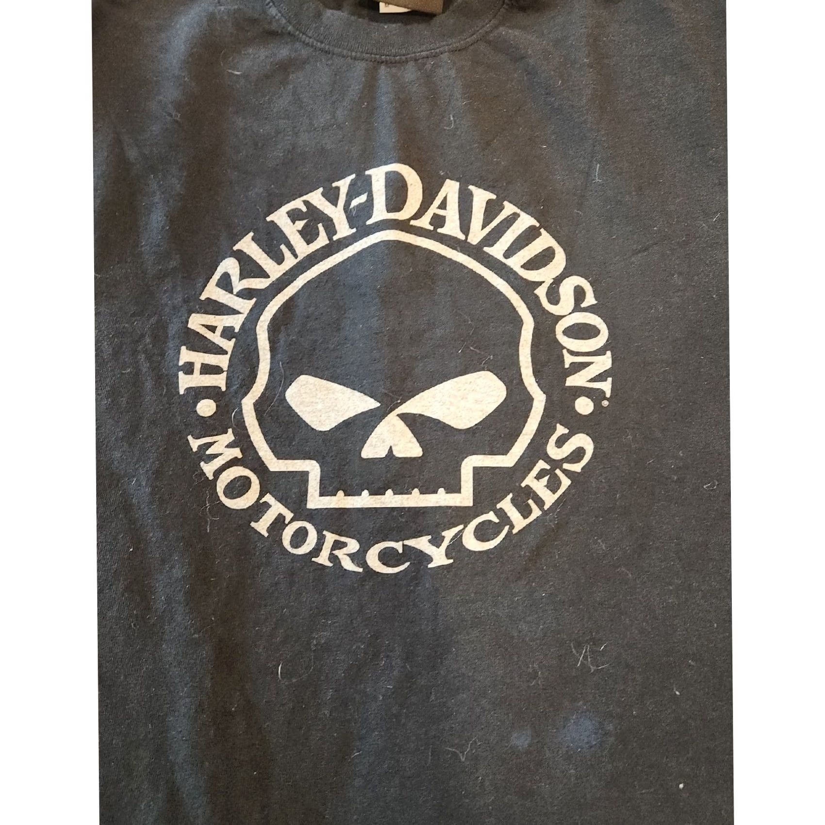 Harley Davidson Harley Davidson Museum Skull Logo Black T Shirt Men's M Size US M / EU 48-50 / 2 - 4 Thumbnail