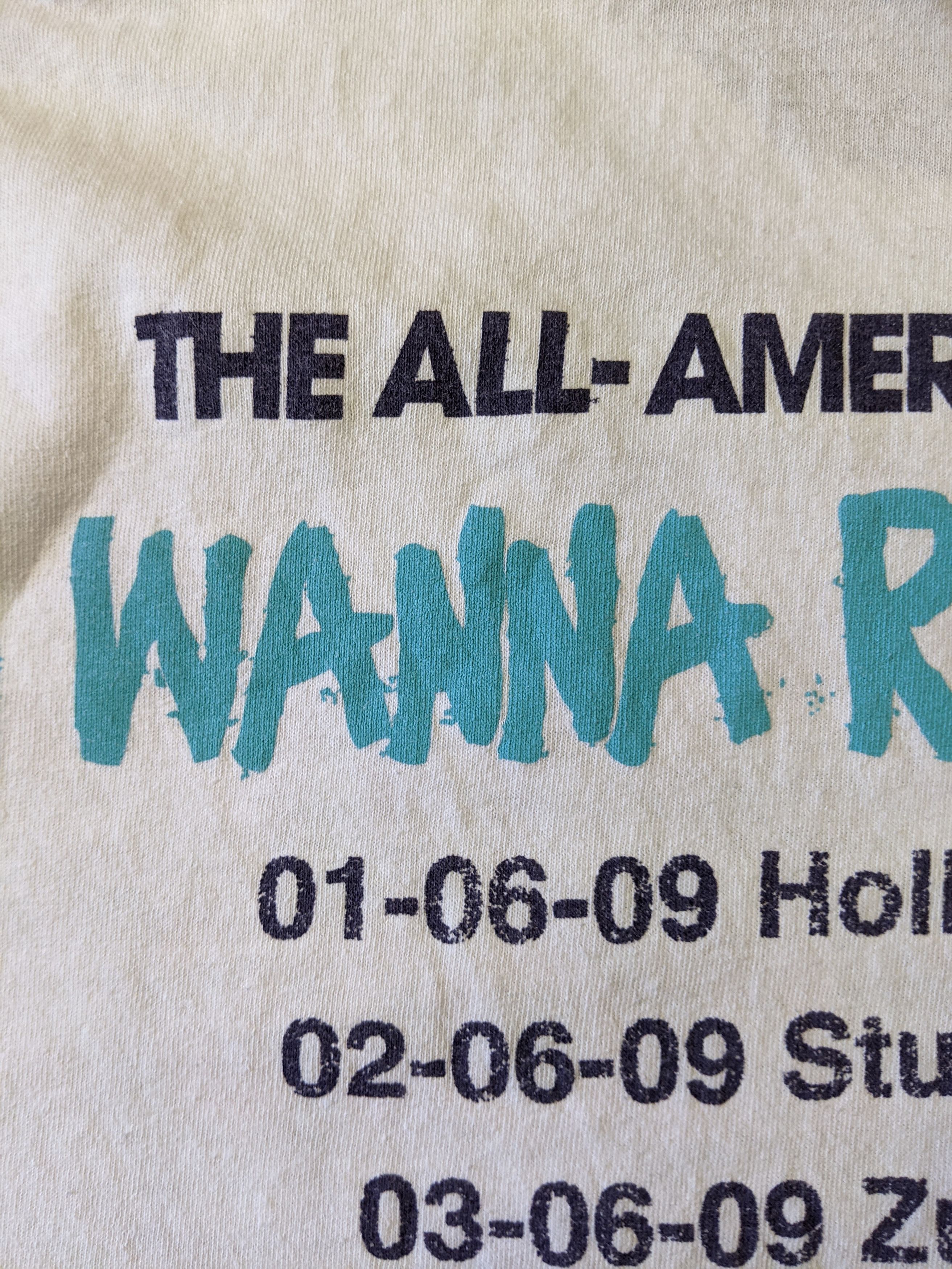 Band Tees The All‑American Rejects I Wanna Rock! tour 2009 Size US L / EU 52-54 / 3 - 4 Thumbnail