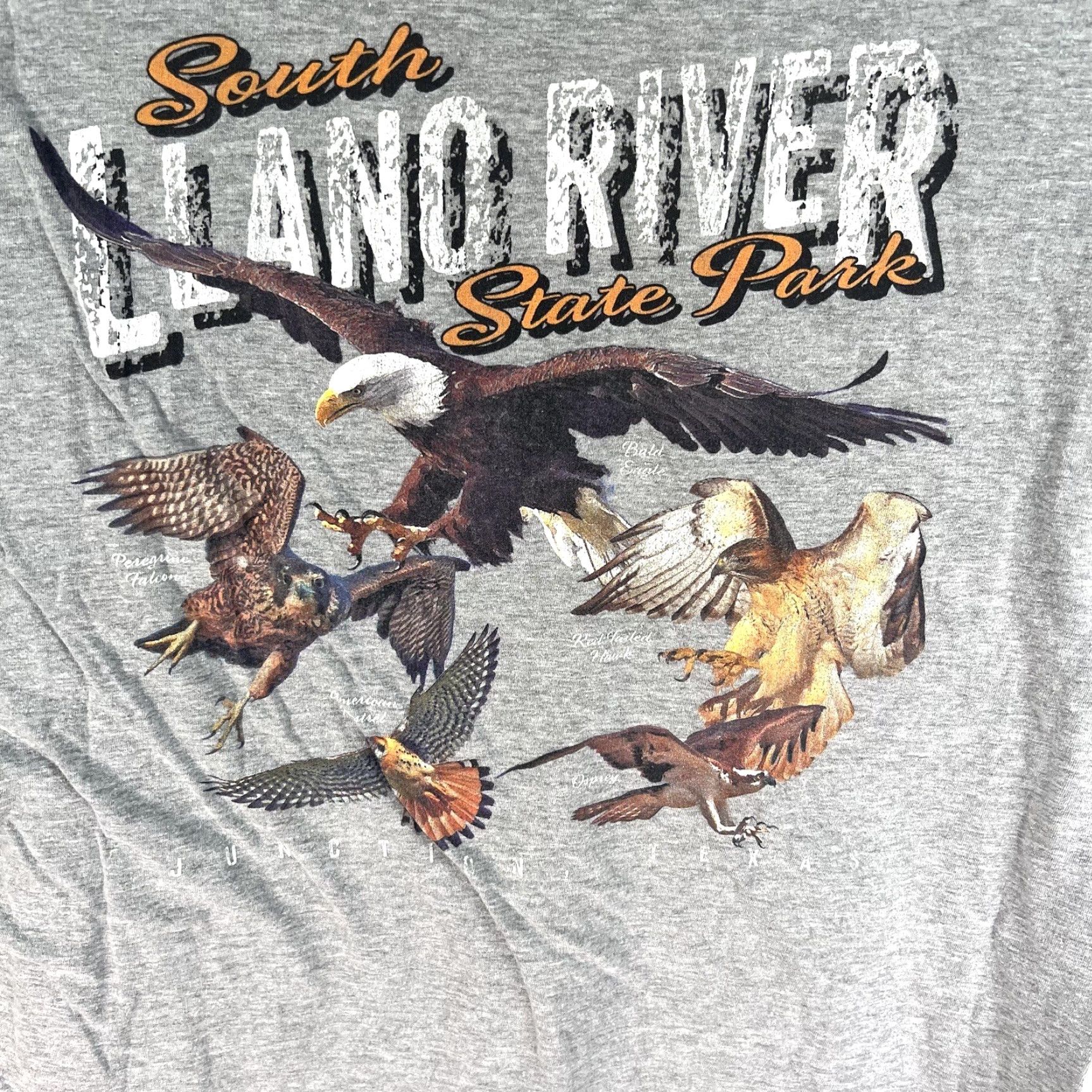 Gildan Vintage Graphic Bird South Llano State Park TX T Shirt Adult Size L Gray Size US L / EU 52-54 / 3 - 5 Thumbnail