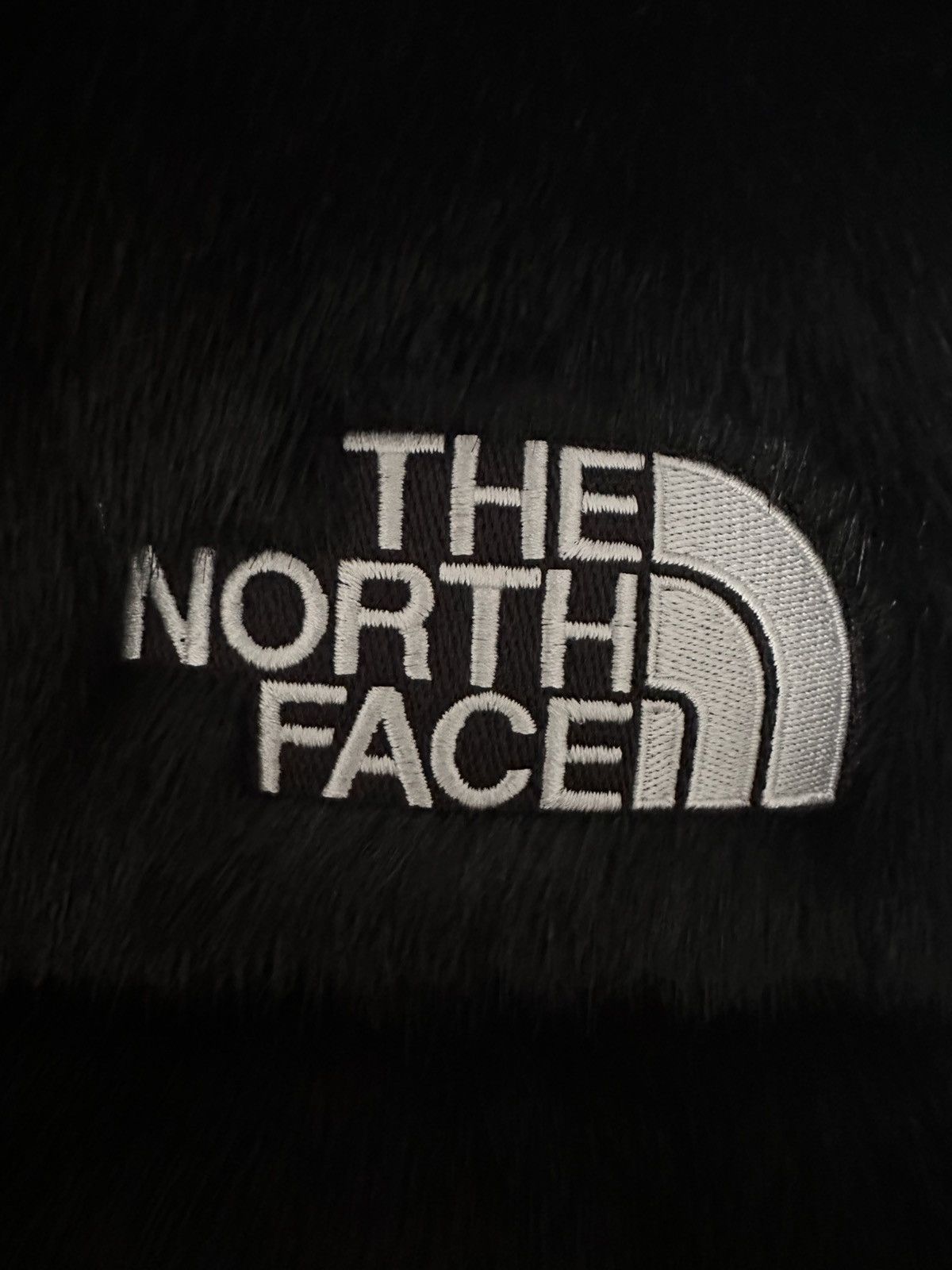 Supreme × The North Face Supreme The North Face Faux F/W 2020 Size US XL / EU 56 / 4 - 12 Thumbnail
