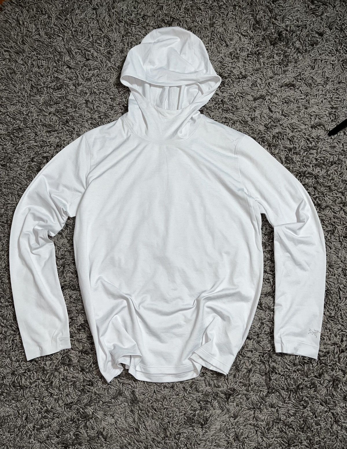 Arc'teryx ARCTERYX CORMAC WMNS HOODIE OUTDOOR WEARING Size L / US 10 / IT 46 - 1 Thumbnail