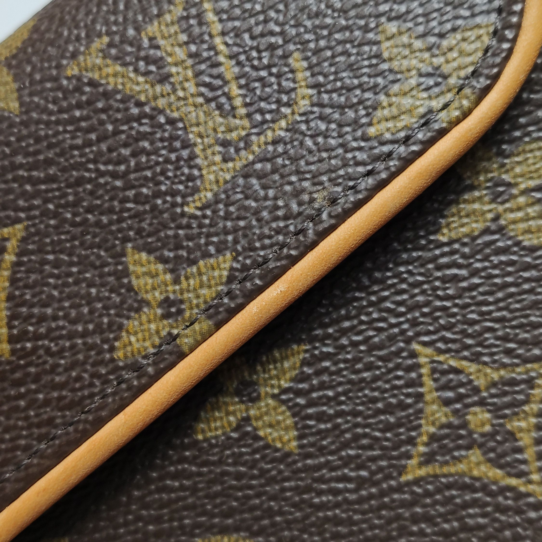 Louis Vuitton Louis Vuitton (LV) Florentine vegetable tanned leather Mono Size ONE SIZE - 7 Thumbnail
