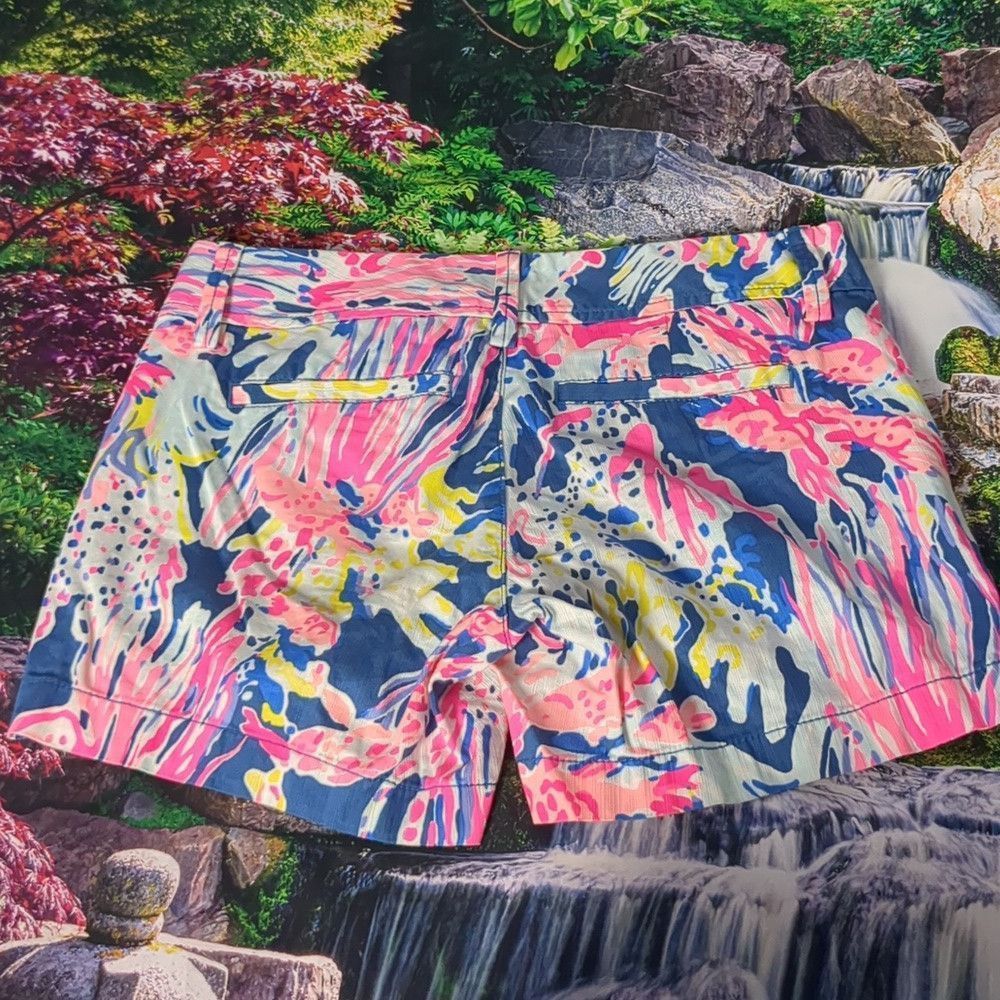 Lilly Pulitzer Lilly Pulitzer the Callahan shorts size 00 Size 24" / US 00 / IT 34 - 2 Thumbnail