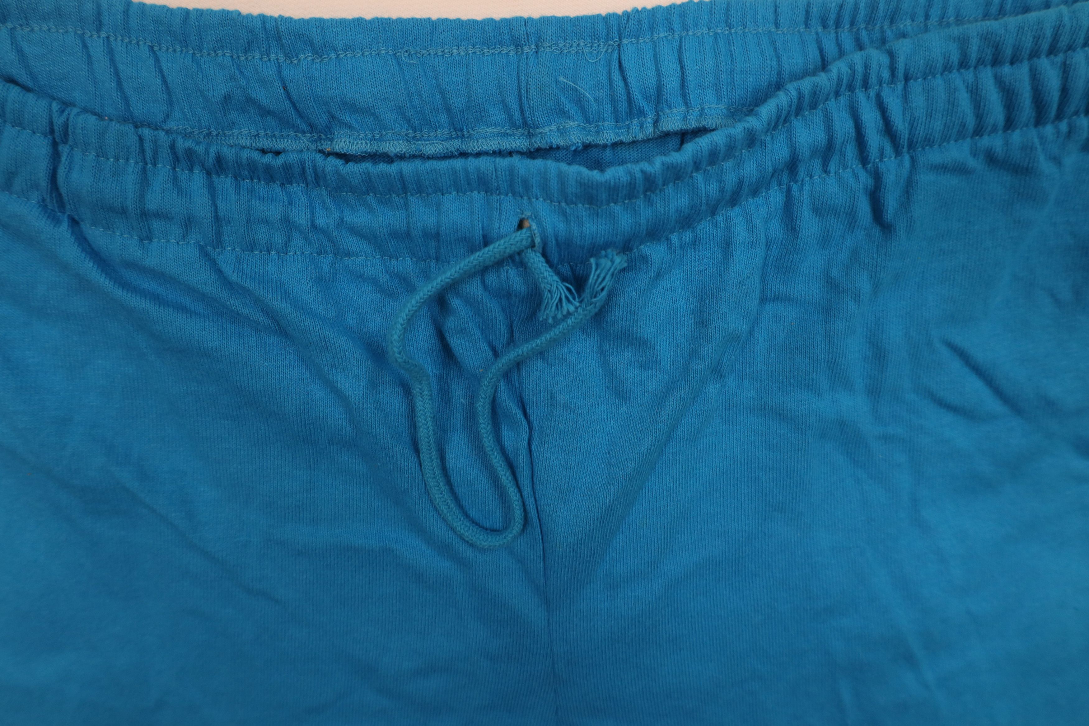 Champion Vintage 90s Champion Above Knee Jersey Knit Shorts Blue USA Size US 36 / EU 52 - 7 Thumbnail