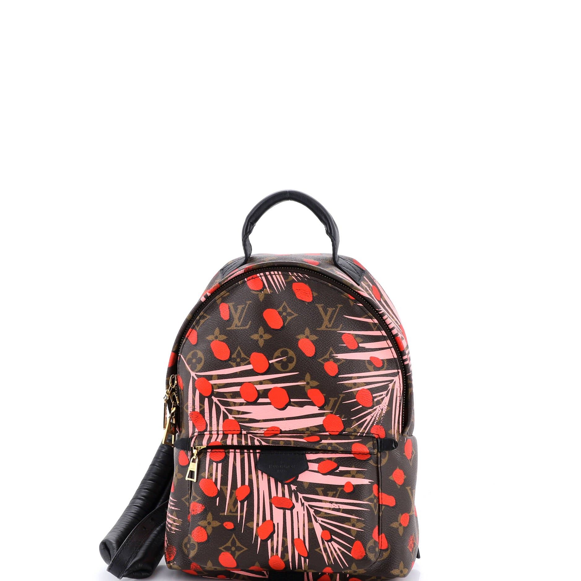 Louis Vuitton Palm Springs Backpack Size ONE SIZE - 1 Thumbnail