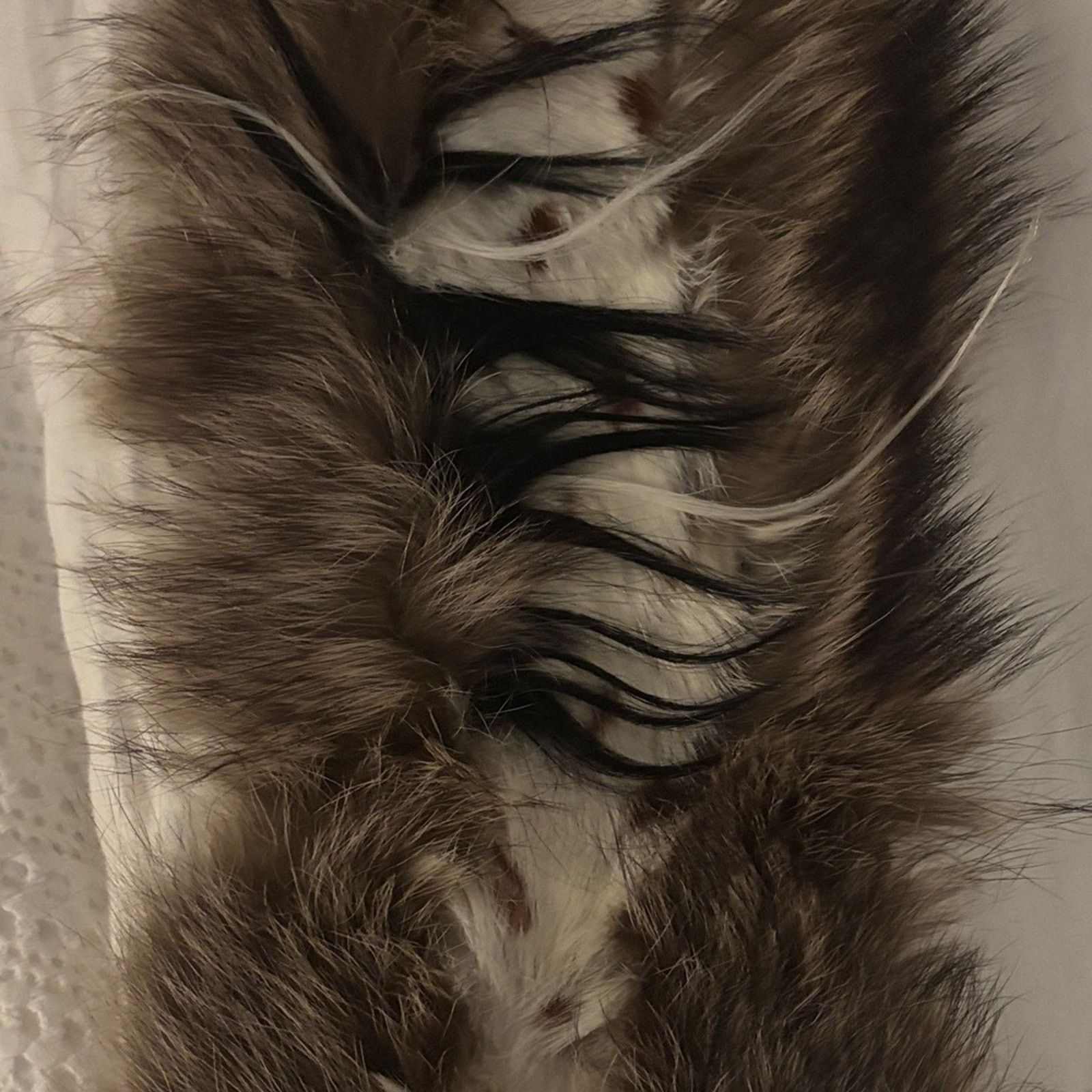 Gianfranco Ferre NWT Gianfranco Ferré Real Fur Collar Scarf Size ONE SIZE - 4 Thumbnail