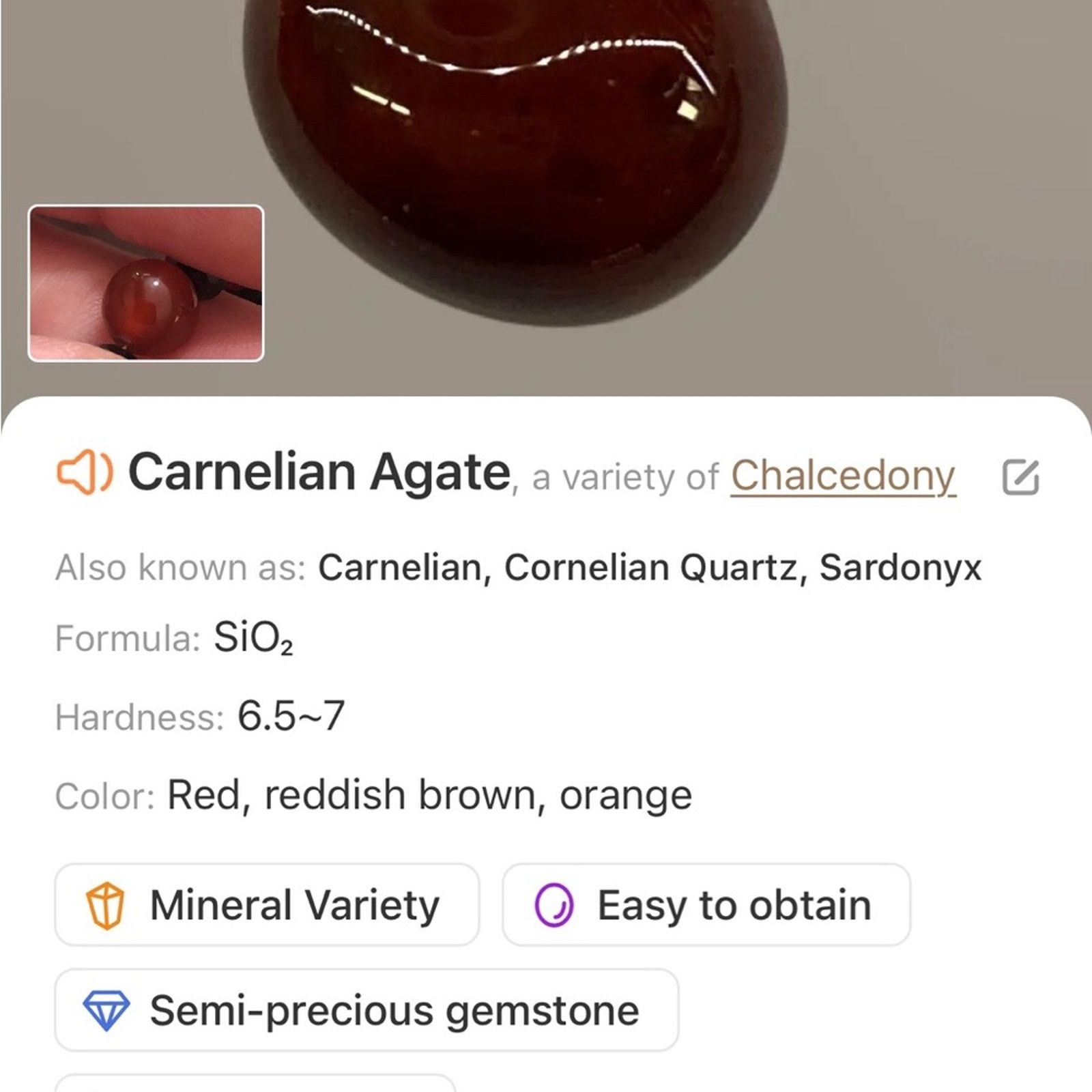 Handmade Handcrafted repurpose Florenza black onyx carnelian necklace Size ONE SIZE - 11 Thumbnail