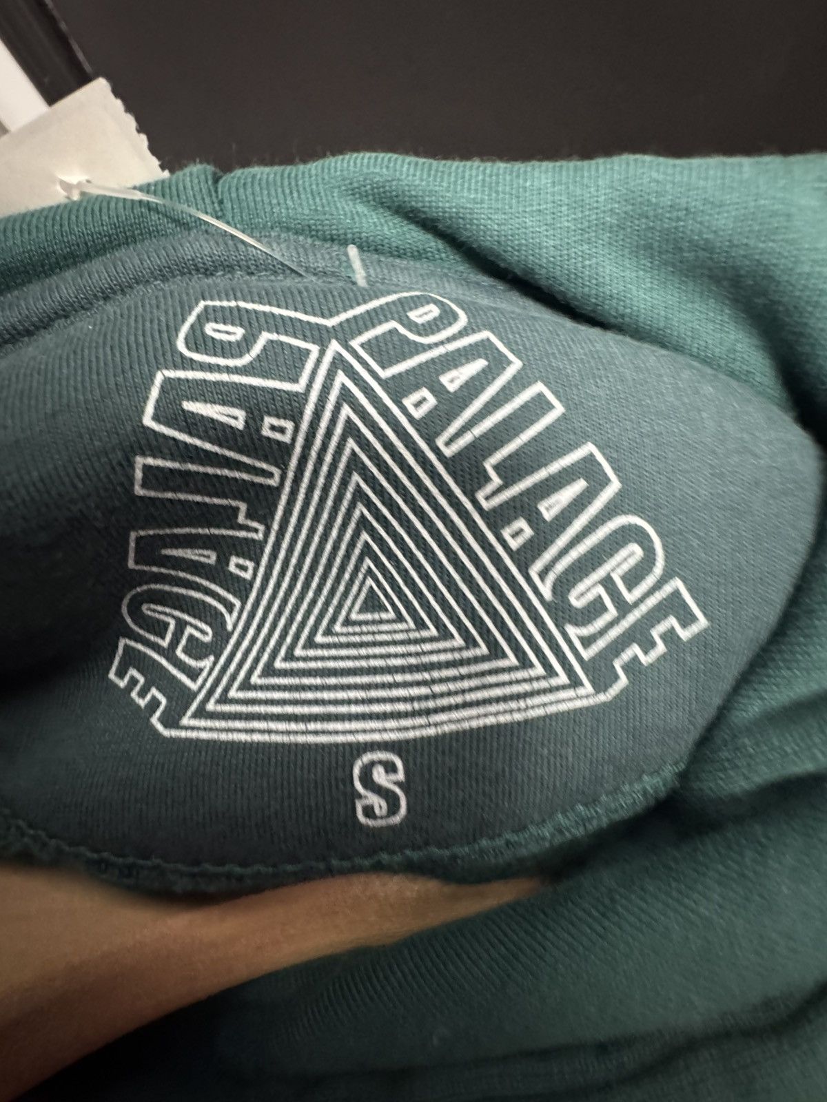 Palace Palace Its All Within Your Reach Hoodie Green Size US S / EU 44-46 / 1 - 4 Thumbnail