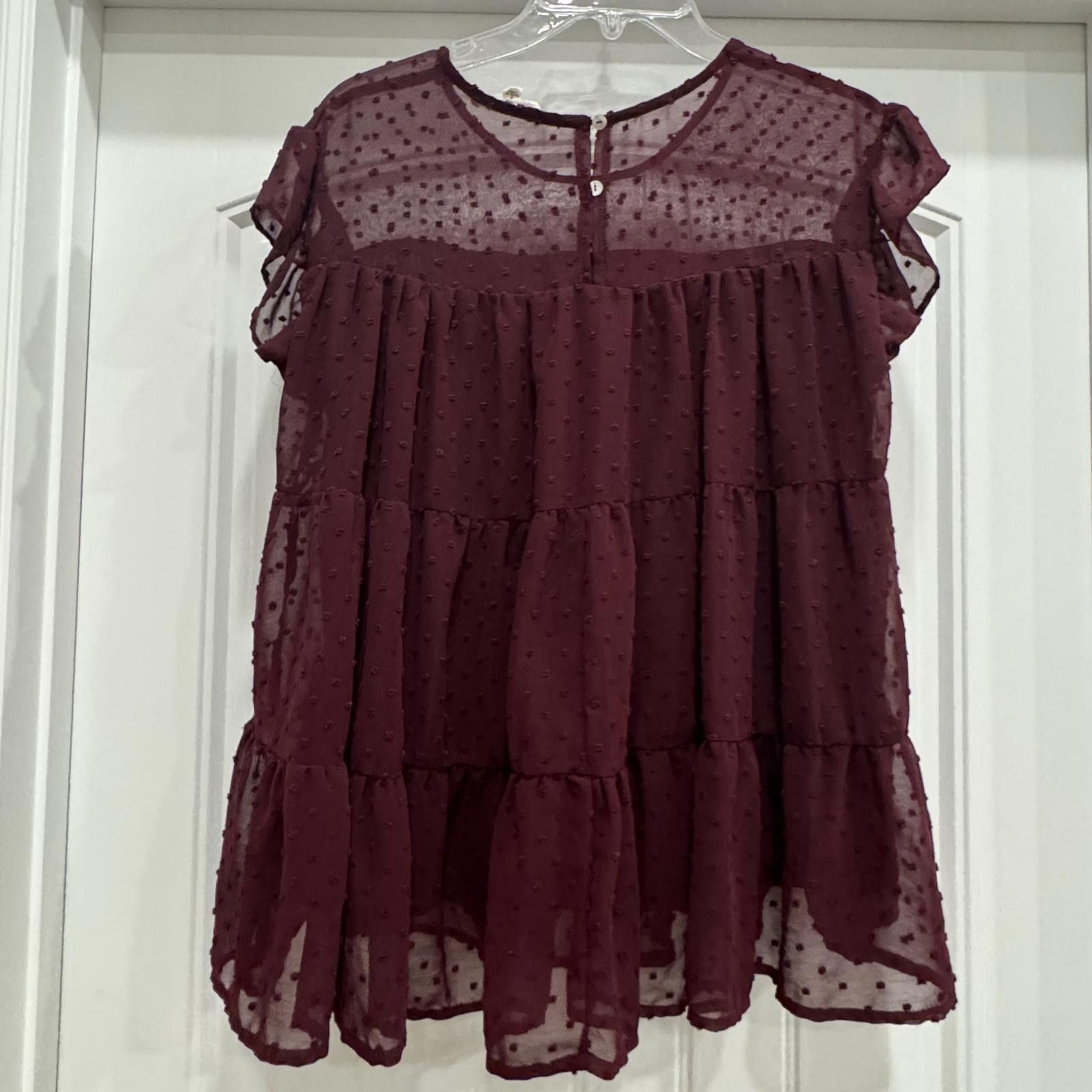Etro Women's Burgundy Sheer Polka Dot Tiered Blouse-Small Size M / US 6-8 / IT 42-44 - 3 Thumbnail