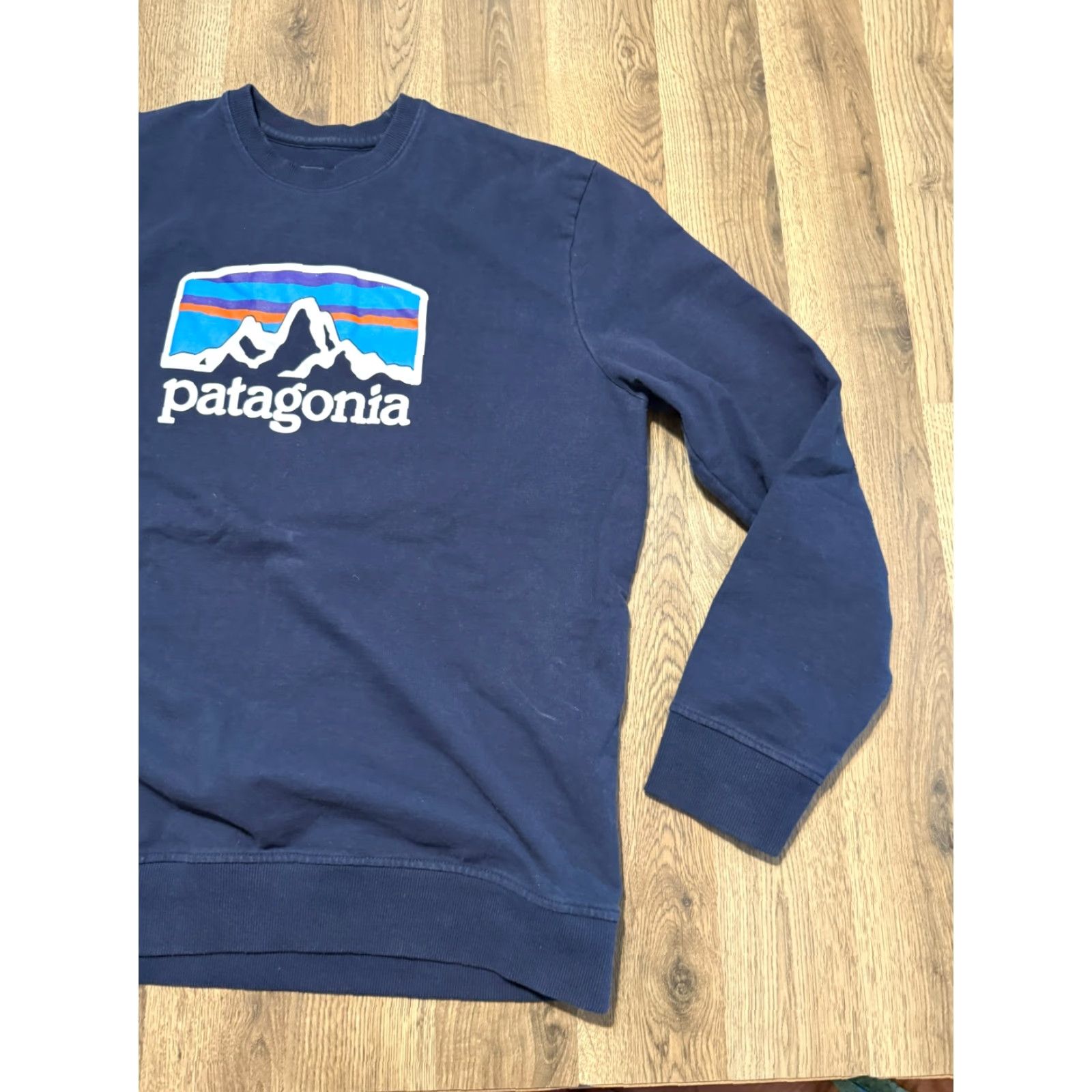 Patagonia Patagonia Sweater Men's Large Blue Logo Graphic Print Crewneck Pullover Size US L / EU 52-54 / 3 - 4 Thumbnail