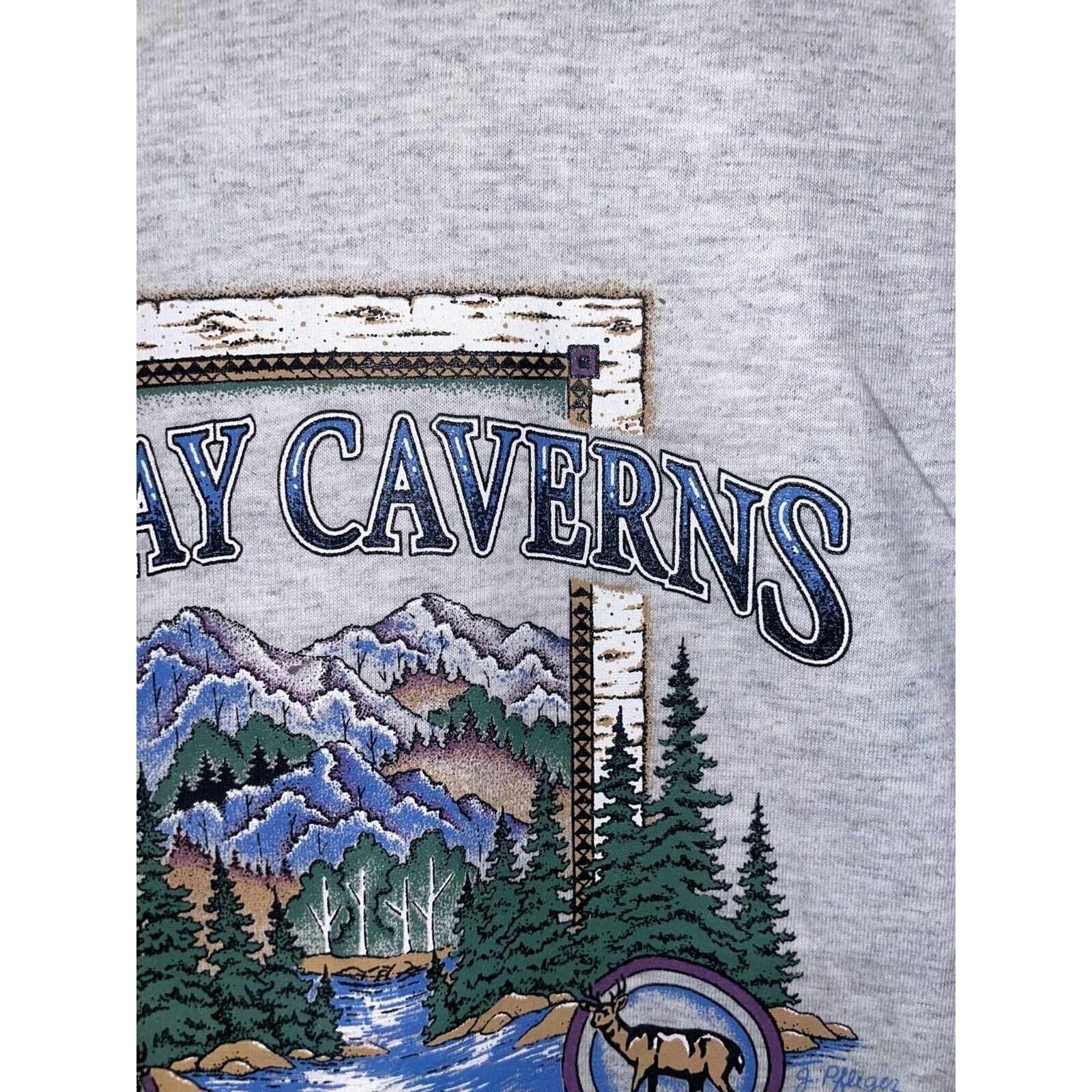 Signal Sport Vintage Luray Caverns Shirt Virginia Gray Nature Tee VTG 90s Size US S / EU 44-46 / 1 - 4 Thumbnail