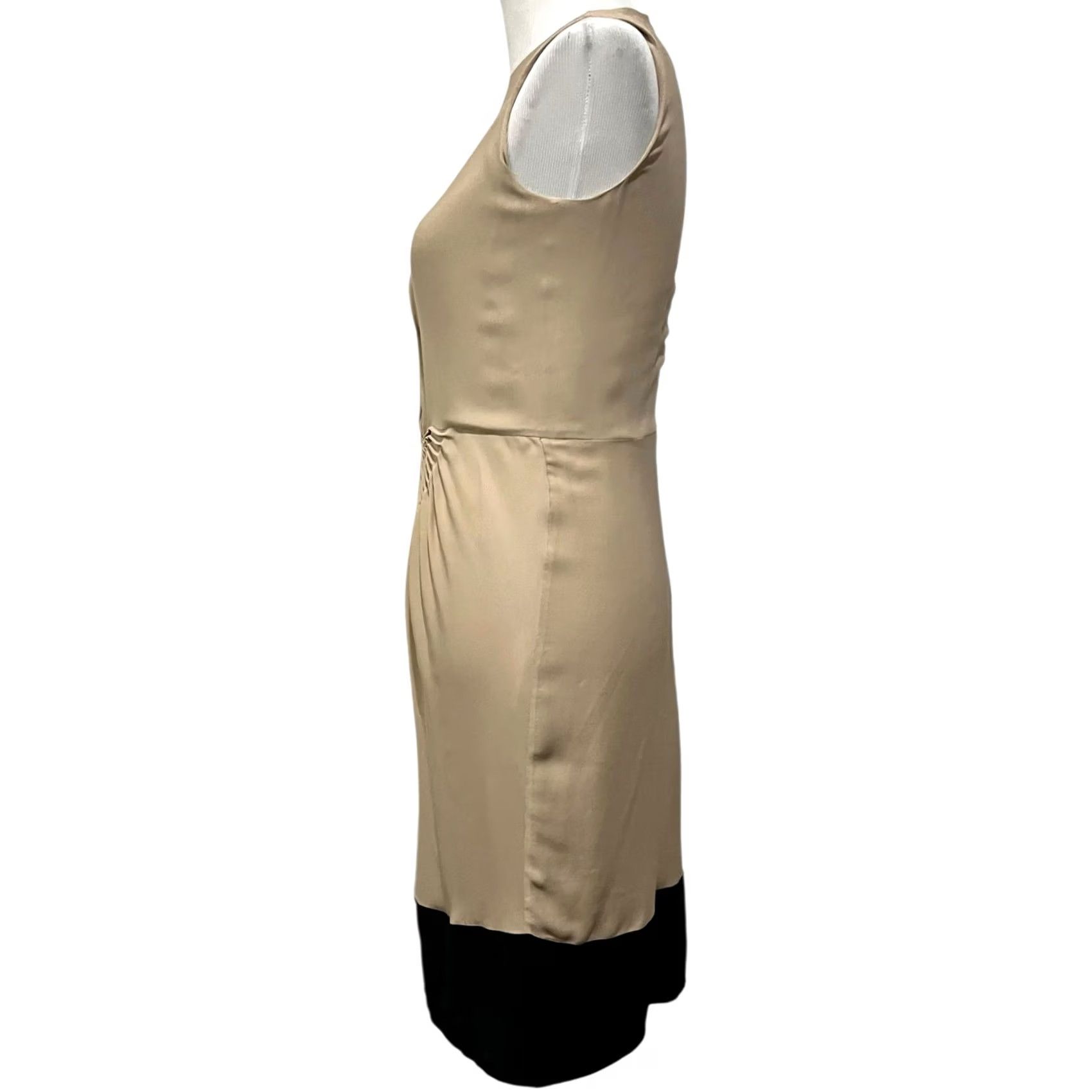 Diane von Furstenberg Diane von Furstenberg Kayley Silk Cinched Accent Tan Black Sheath Dress Sz 4 Size S / US 4 / IT 40 - 5 Thumbnail