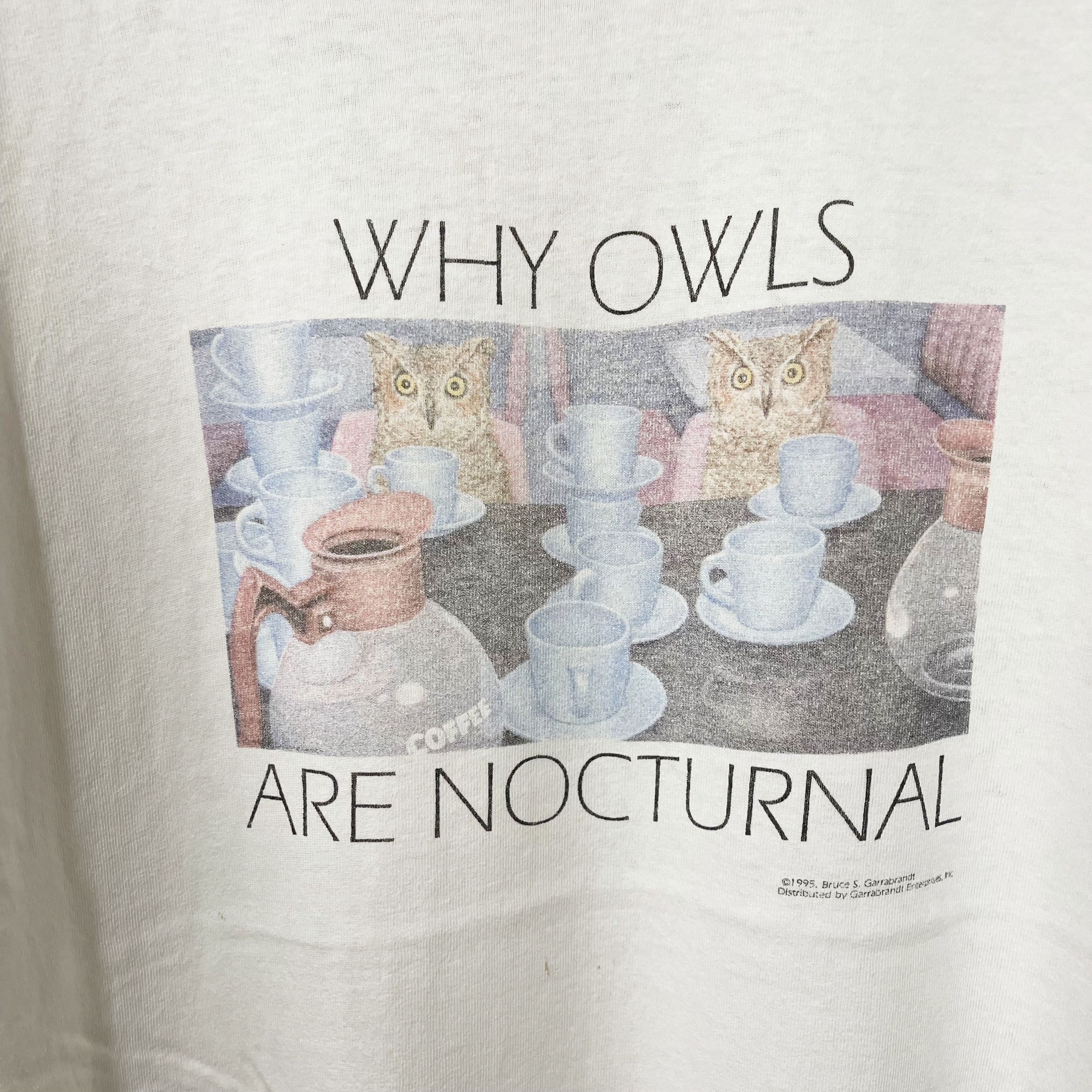 Vintage Vintage 1995 Why Owls are Nocturnal Shirt Size US L / EU 52-54 / 3 - 2 Thumbnail
